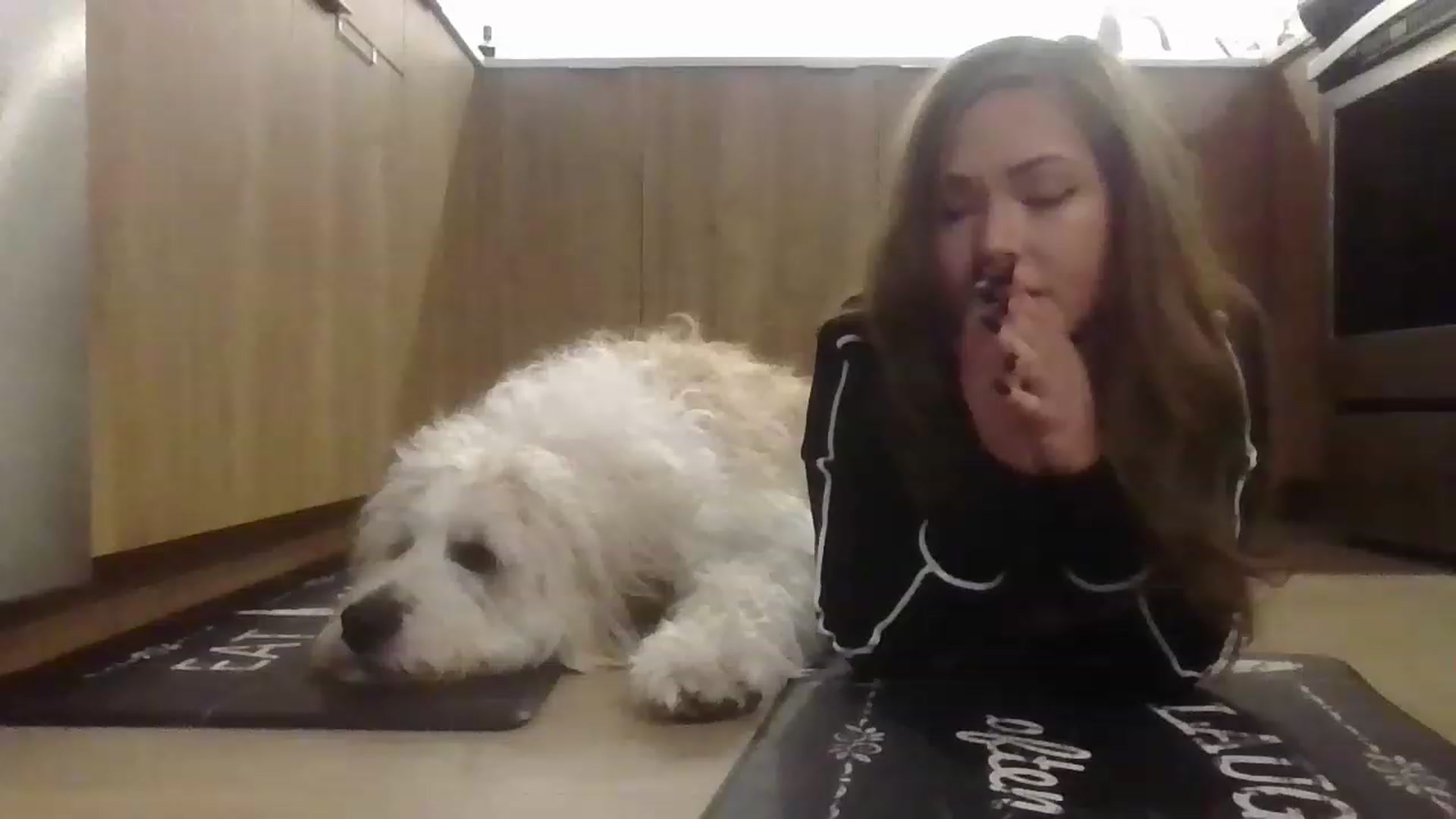 Gallery image thumbnail from ShrimpDumplin's myfreecams stream on, 11/20/2022, 03:09 image 15 of 20