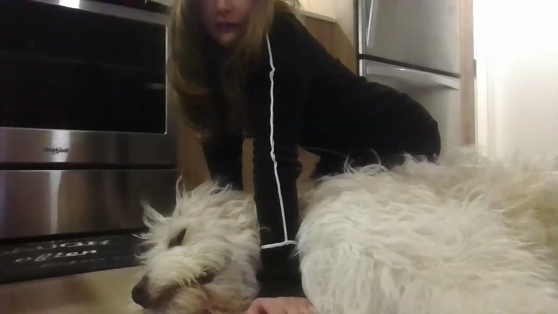 Gallery image thumbnail from ShrimpDumplin's myfreecams stream on, 11/20/2022, 05:30 image 3 of 20