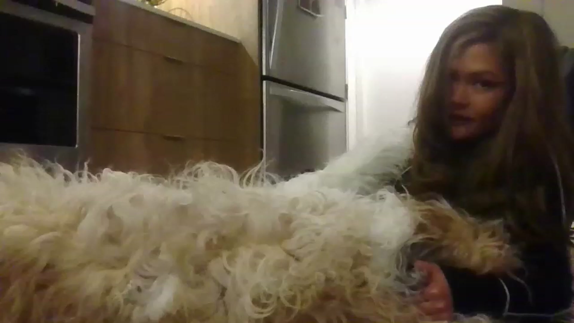 Gallery image thumbnail from ShrimpDumplin's myfreecams stream on, 11/20/2022, 05:30 image 14 of 20