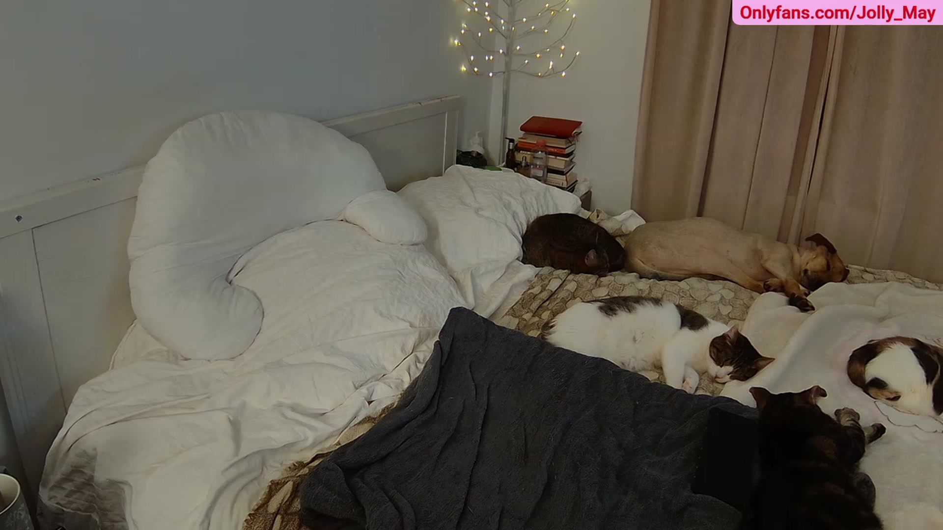 Gallery image thumbnail from ShyAngie's myfreecams stream on, 06/17/2023, 02:35 image 15 of 20