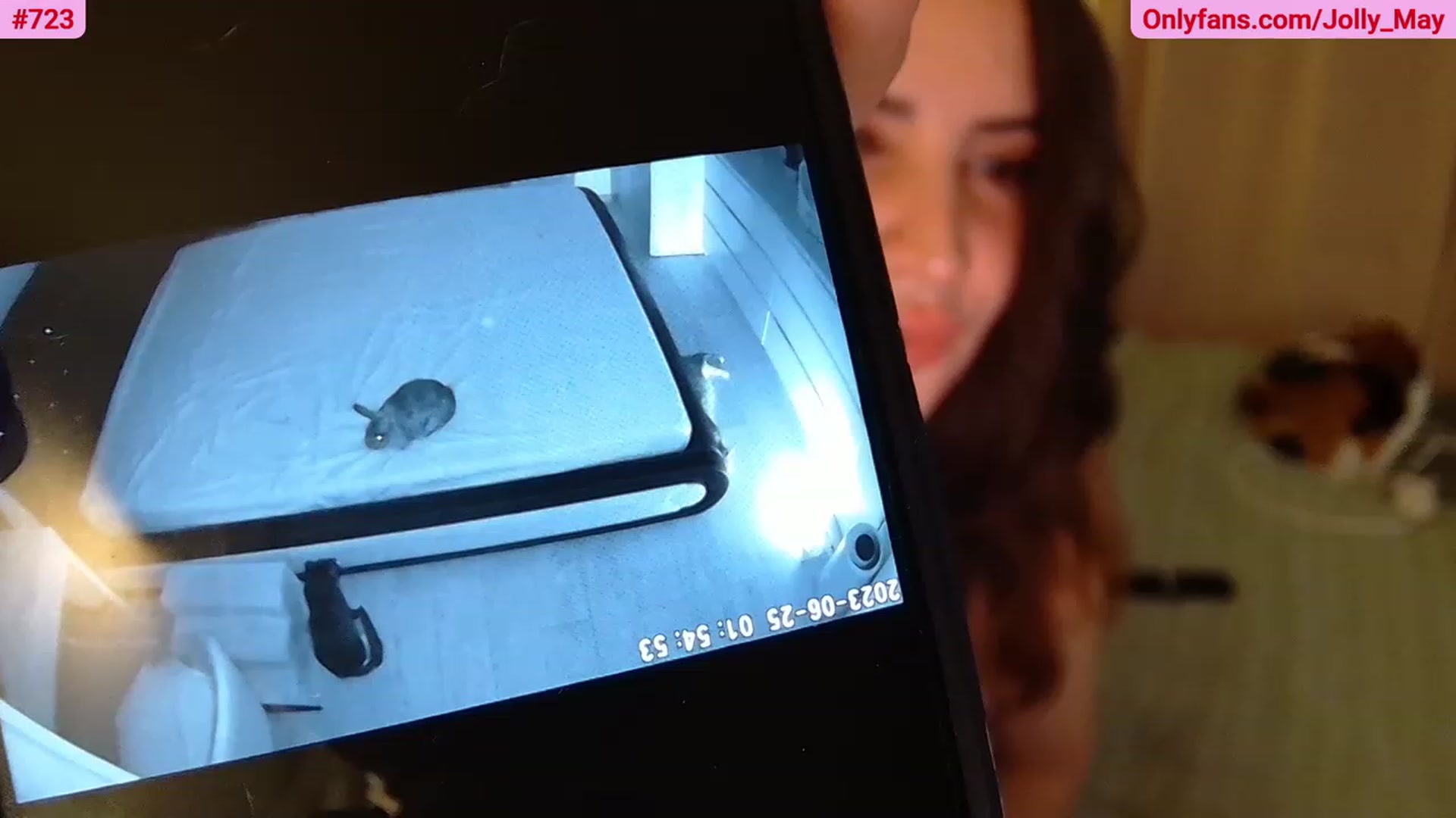 Gallery image thumbnail from ShyAngie's myfreecams stream on, 06/25/2023, 24:03 image 3 of 20