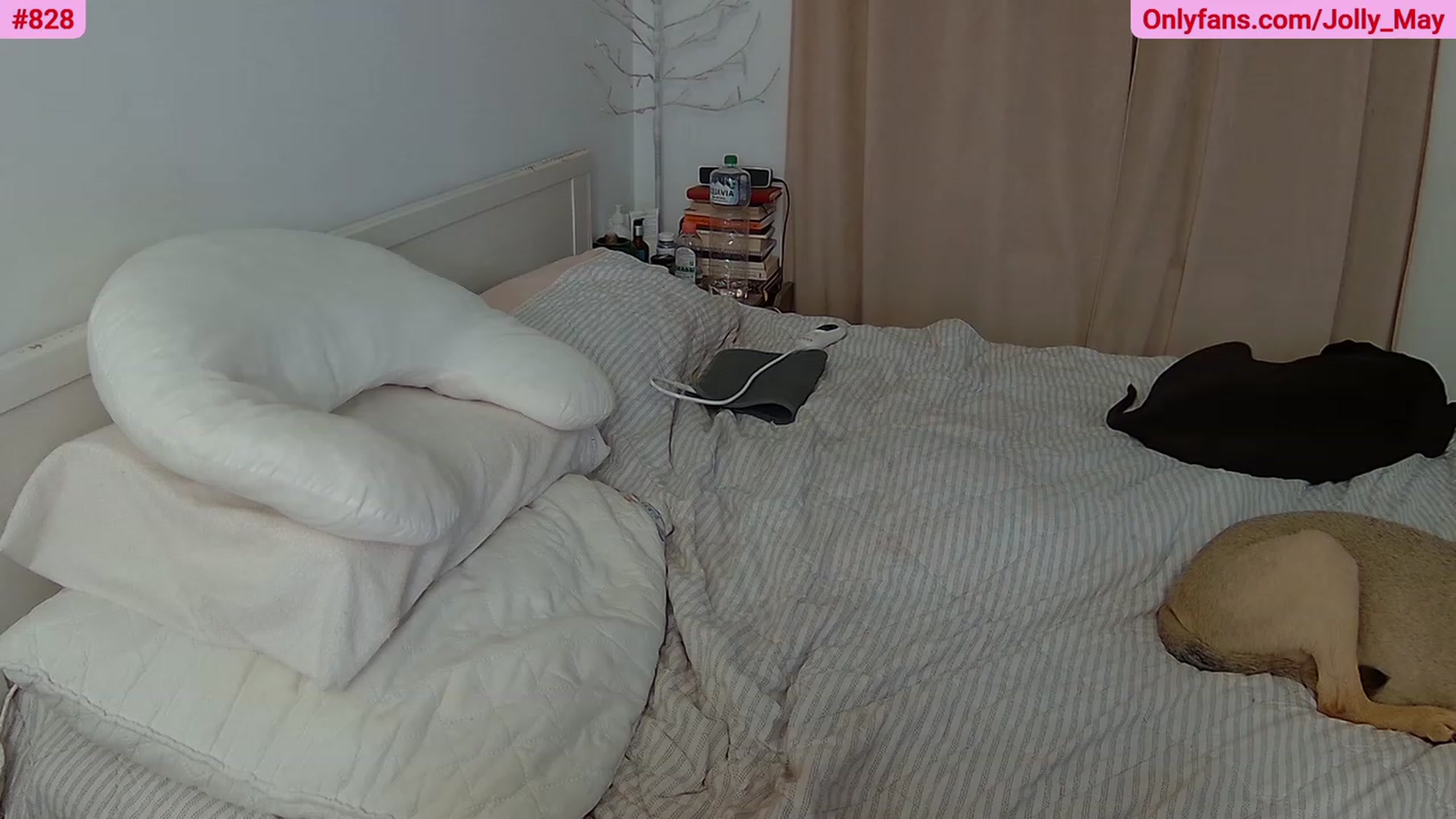 Gallery image thumbnail from ShyAngie's myfreecams stream on, 06/28/2023, 02:24 image 4 of 20