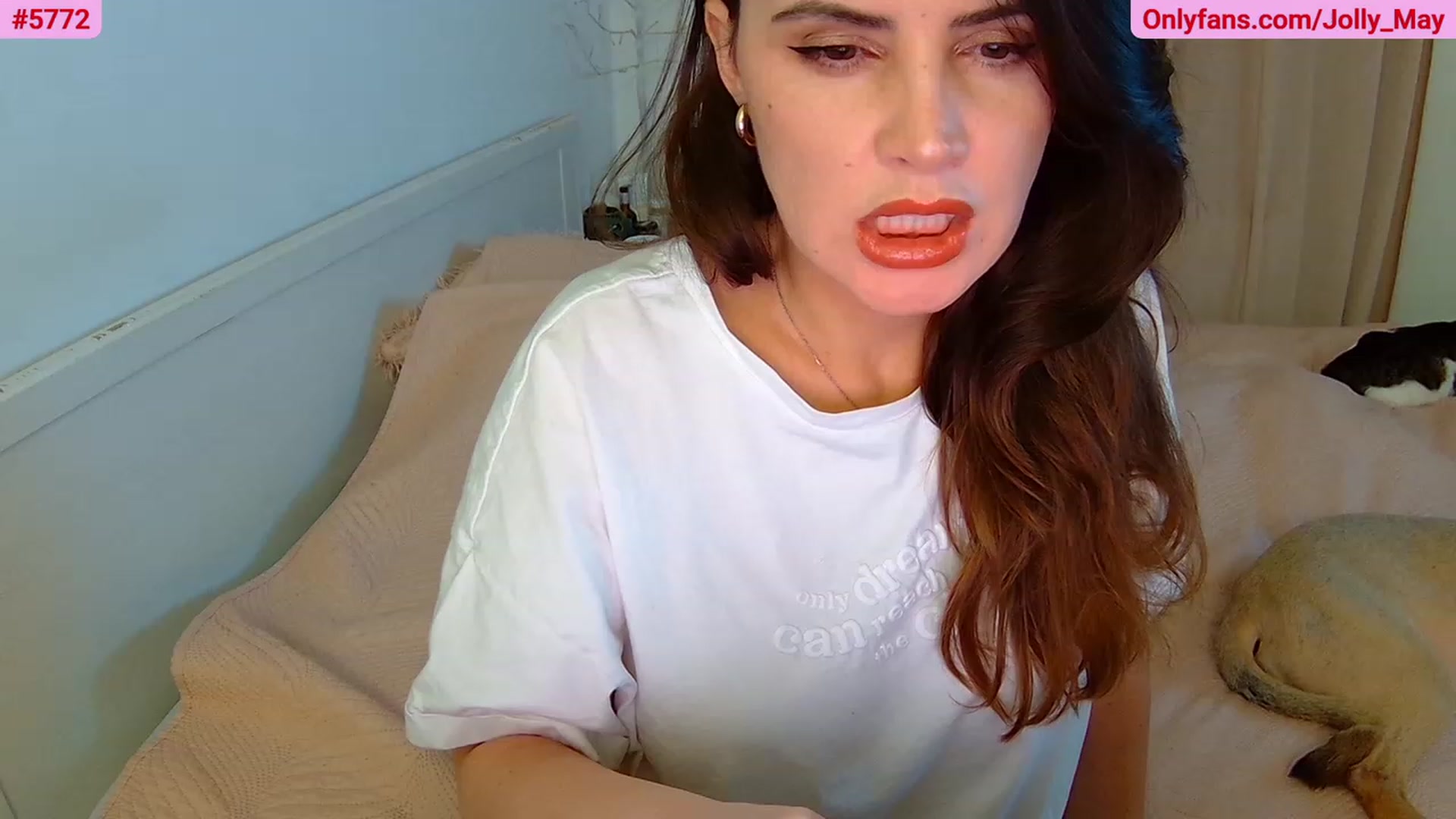 Gallery image thumbnail from ShyAngie's myfreecams stream on, 07/03/2023, 24:21 image 2 of 20