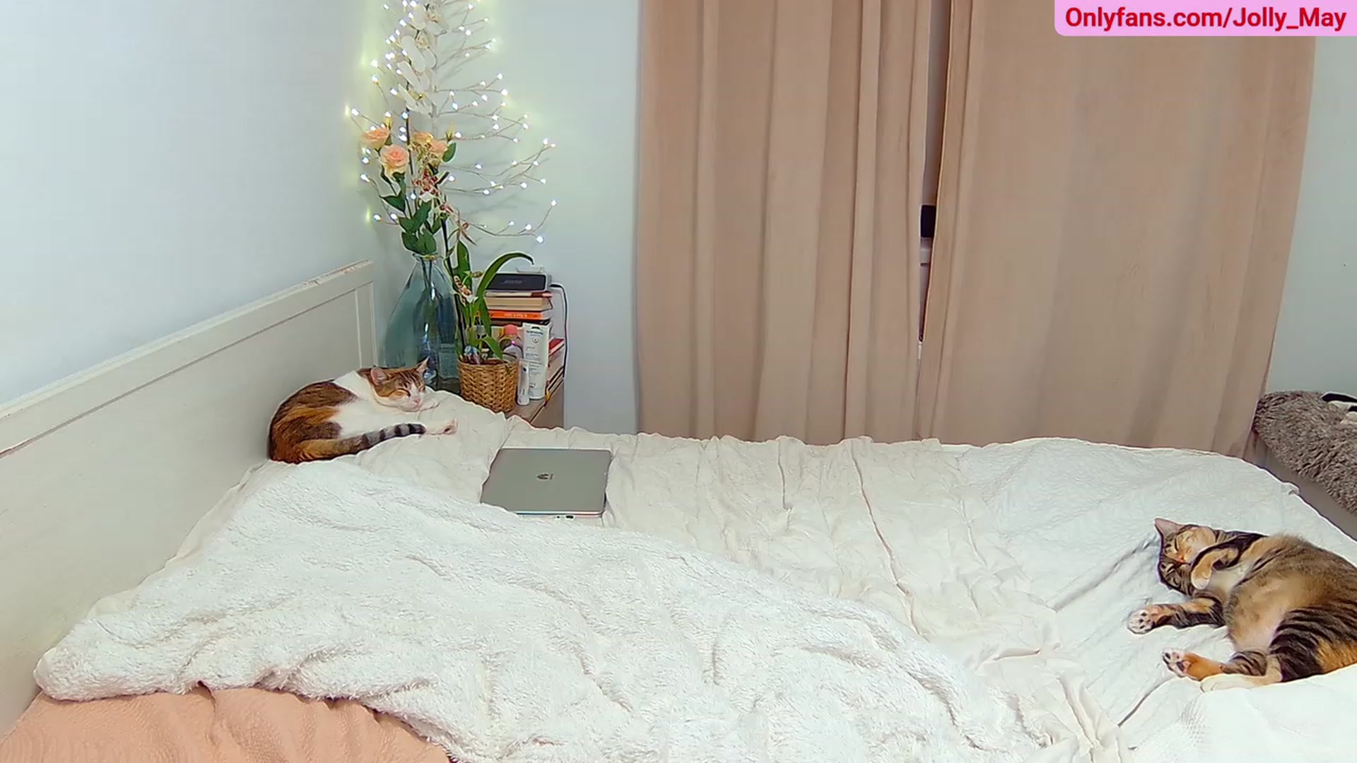 Gallery image thumbnail from ShyAngie's myfreecams stream on, 08/18/2023, 23:49 image 17 of 20