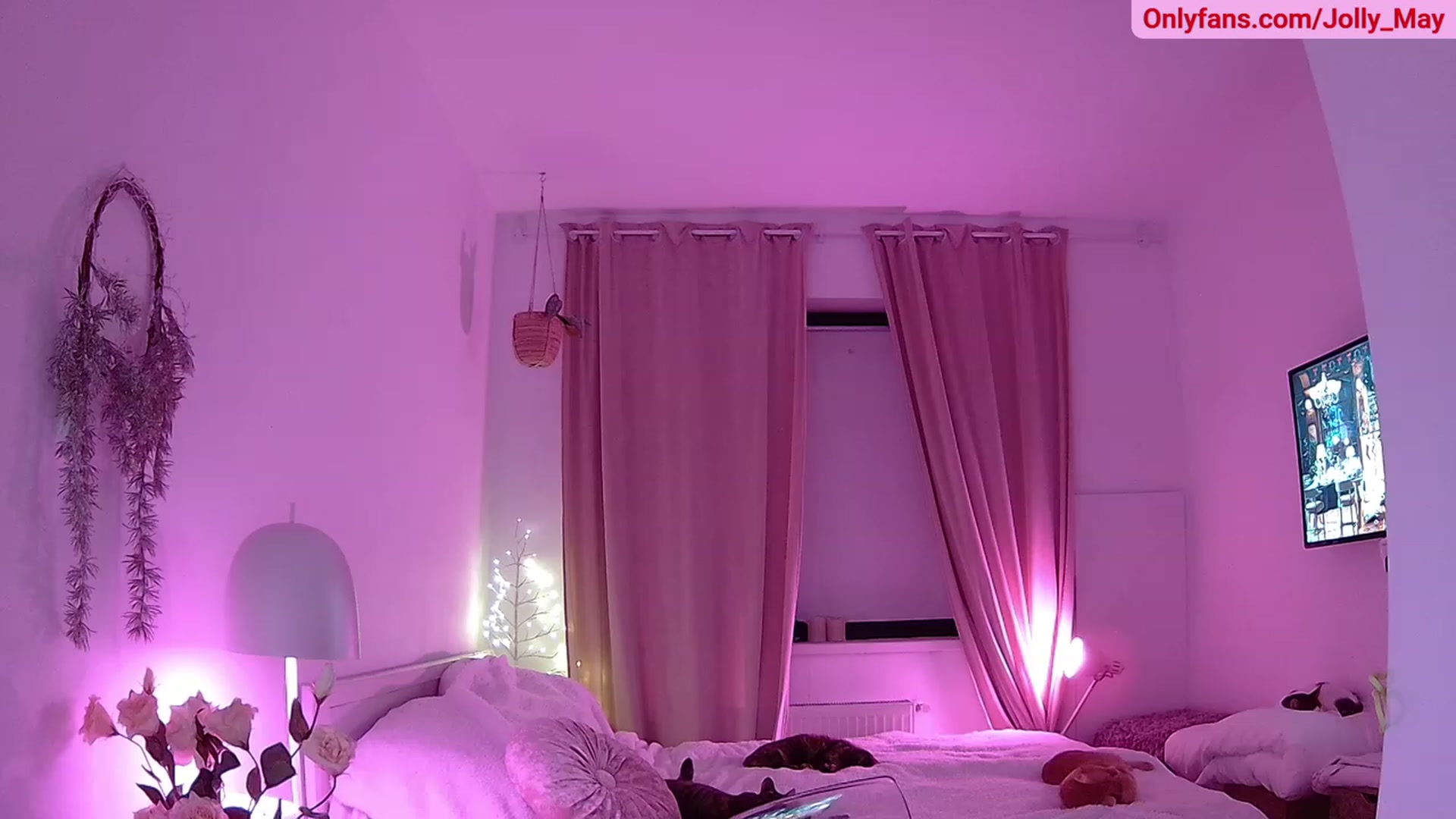 Gallery image thumbnail from ShyAngie's myfreecams stream on, 11/27/2023, 24:01 image 19 of 20