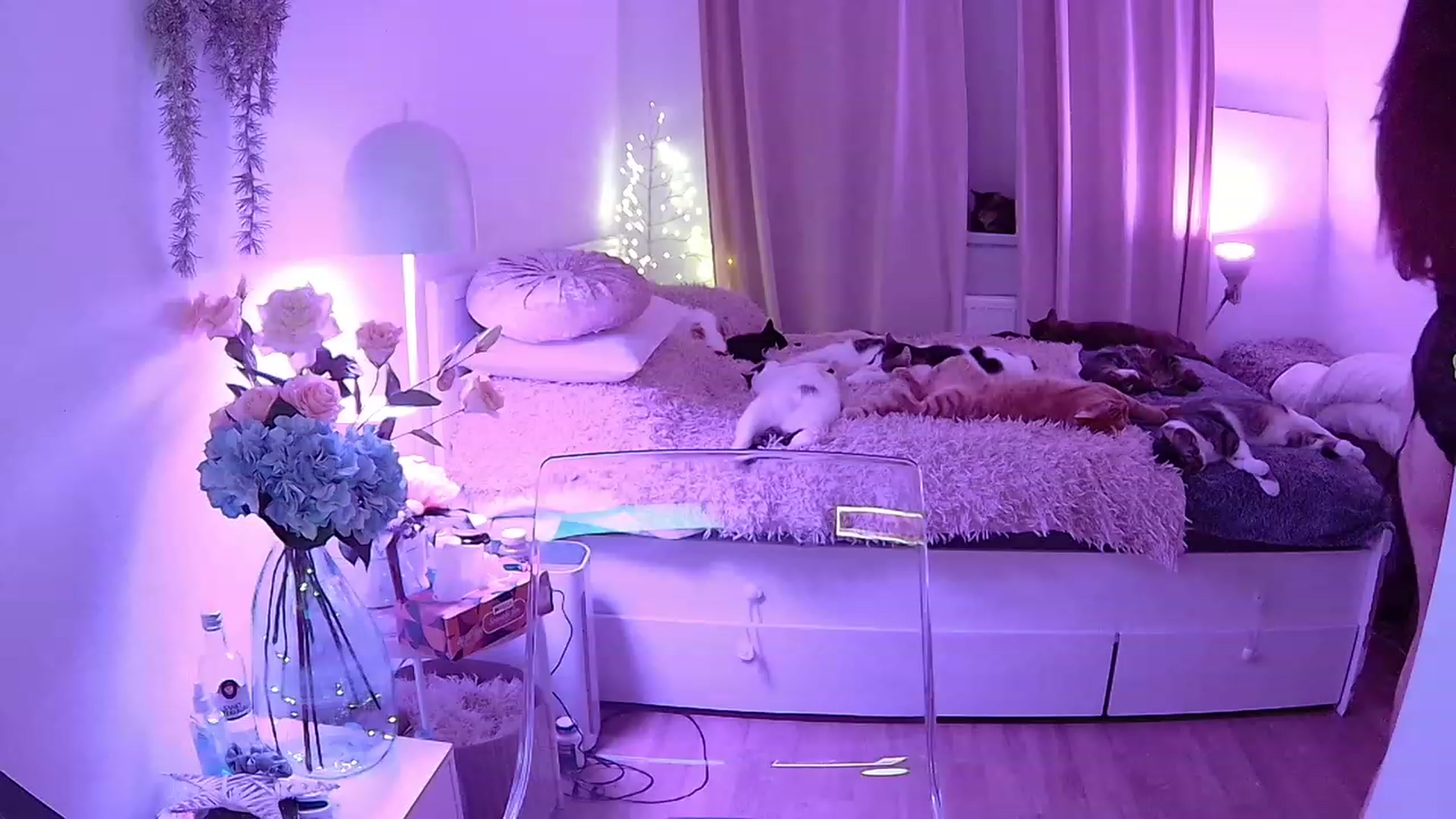 Gallery image thumbnail from ShyAngie's myfreecams stream on, 11/29/2023, 02:32 image 1 of 20