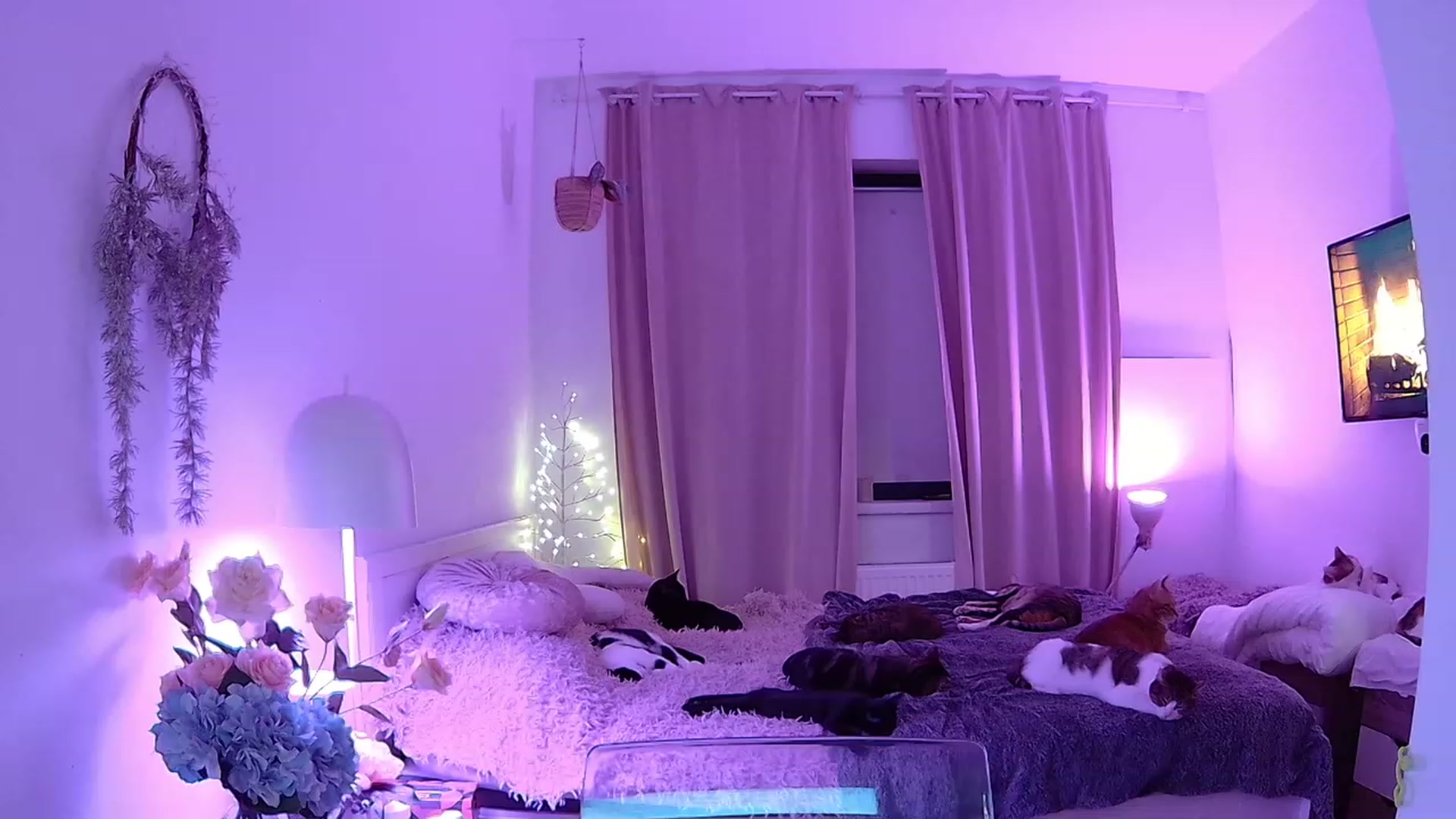 Gallery image thumbnail from ShyAngie's myfreecams stream on, 11/30/2023, 24:32 image 12 of 20