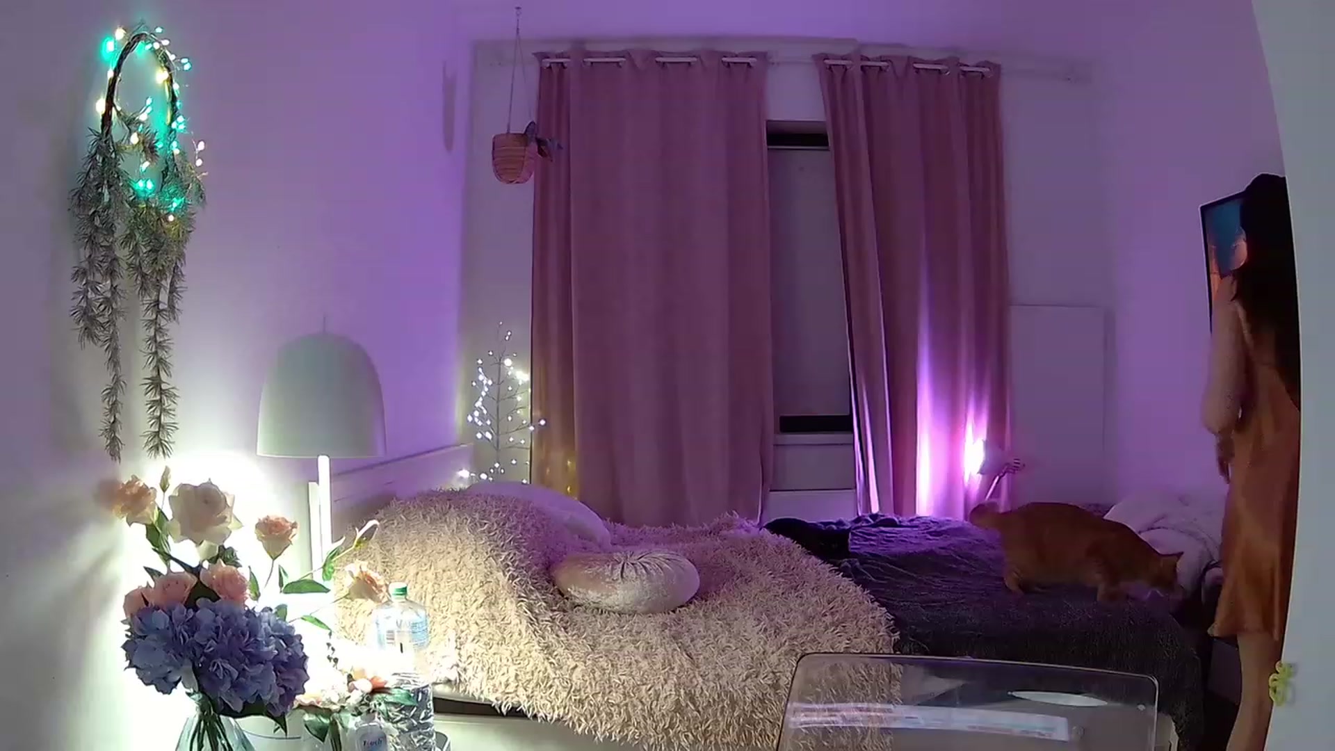 Gallery image thumbnail from ShyAngie's myfreecams stream on, 12/02/2023, 24:00 image 15 of 20