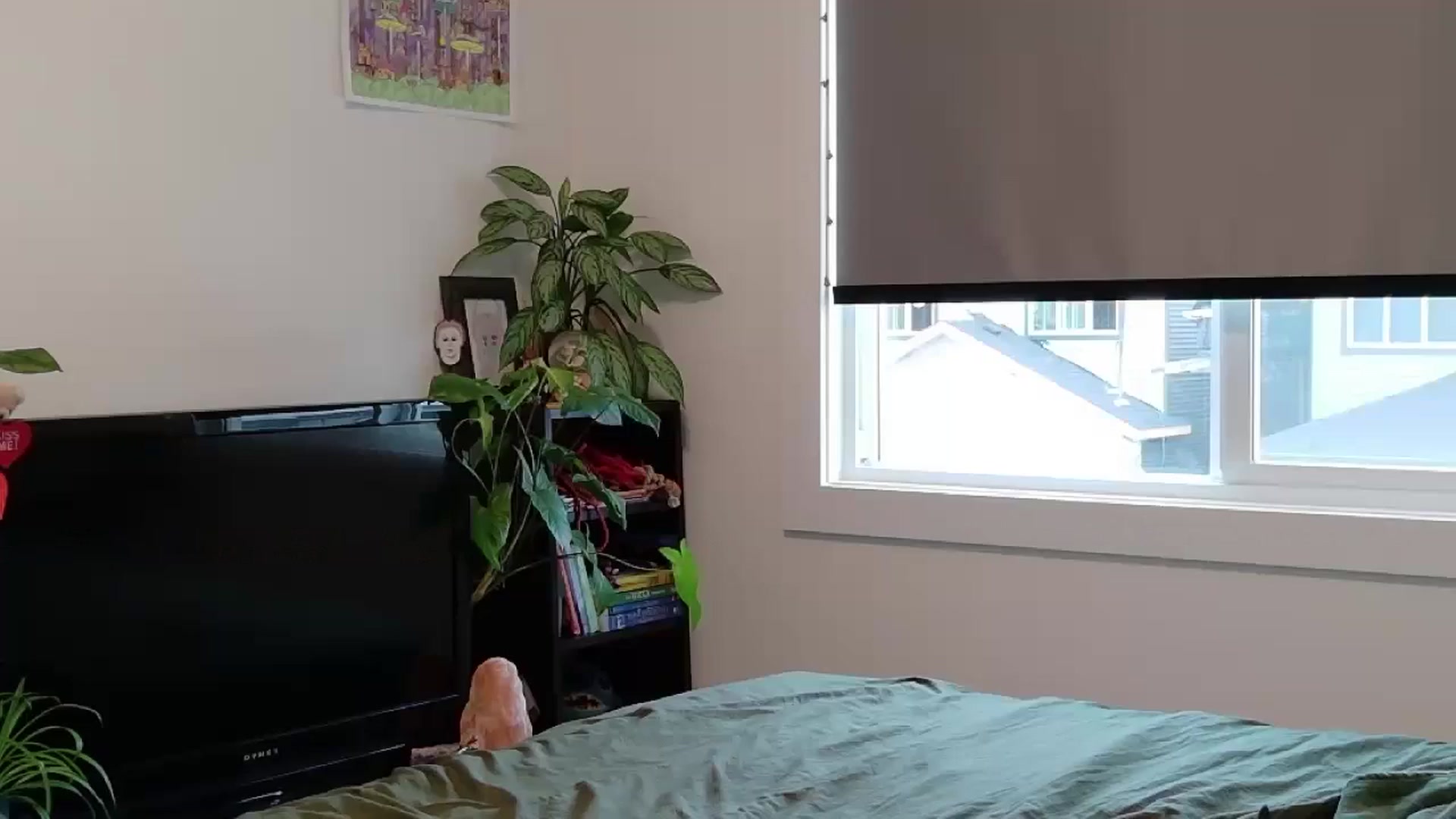 Gallery image thumbnail from ShyBabyy's myfreecams stream on, 11/17/2025, 20:34 image 14 of 20