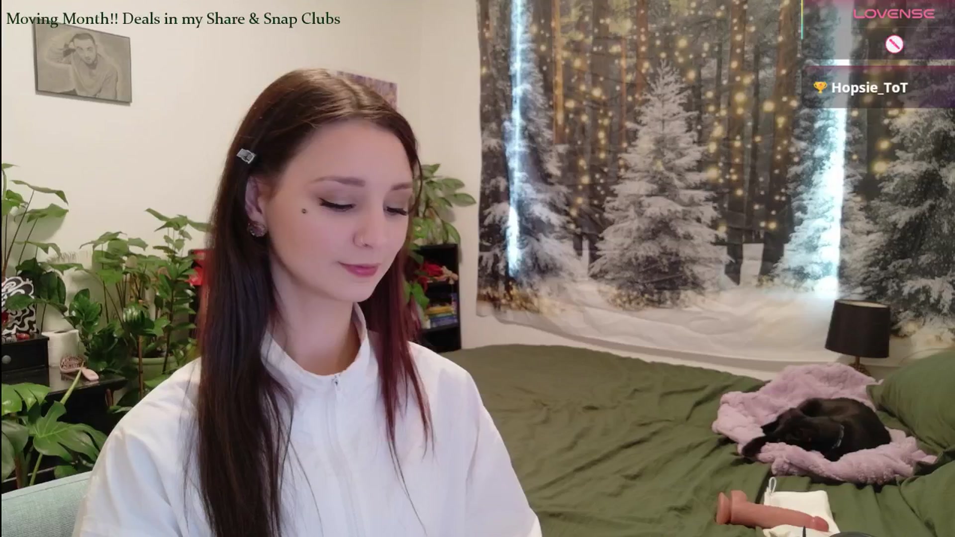Gallery image thumbnail from ShyBabyy's myfreecams stream on, 01/12/2026, 21:39 image 14 of 20