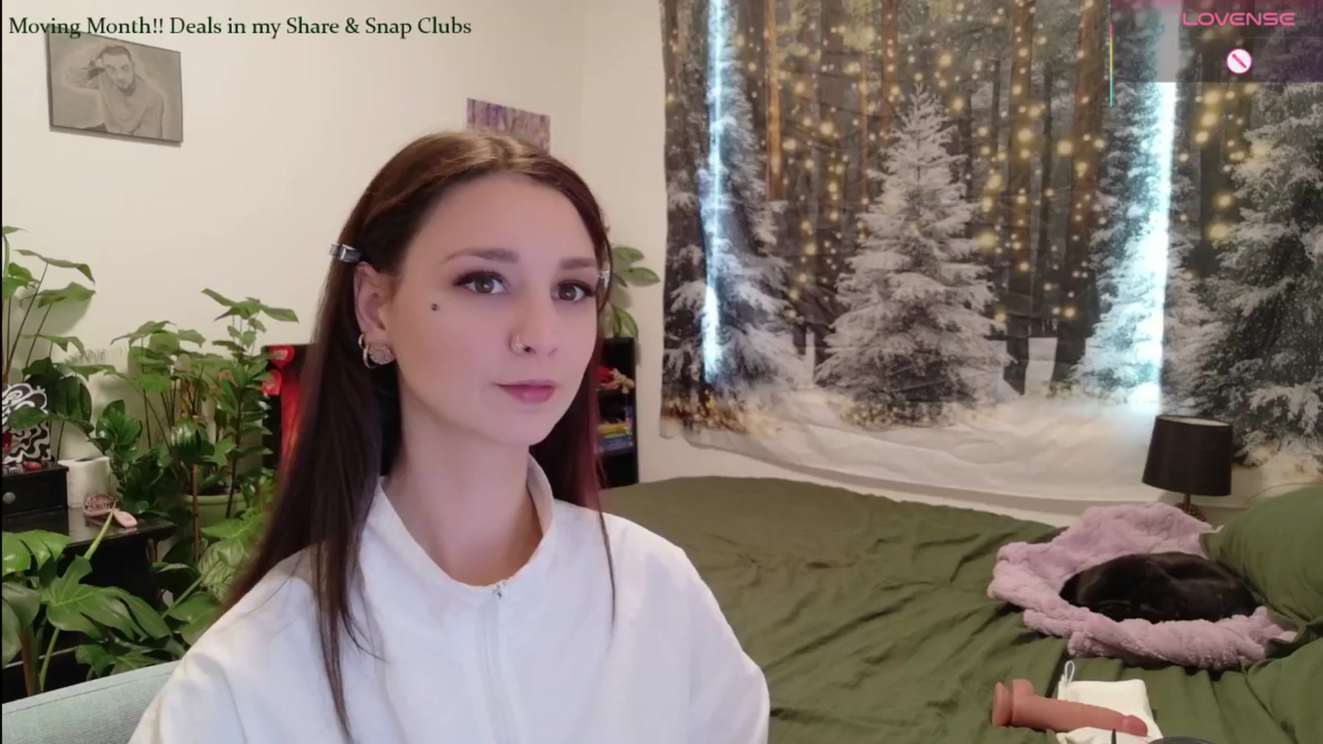 Gallery image thumbnail from ShyBabyy's myfreecams stream on, 01/12/2026, 21:39 image 1 of 20