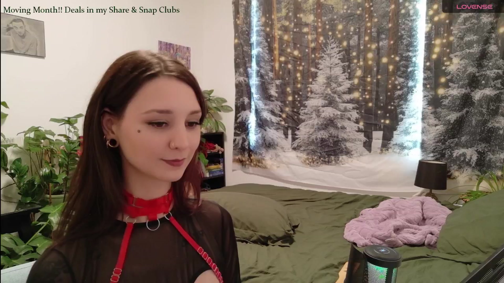 Gallery image thumbnail from ShyBabyy's myfreecams stream on, 01/13/2026, 22:11 image 8 of 20