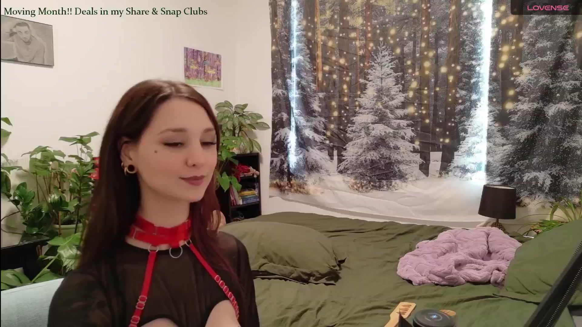 Gallery image thumbnail from ShyBabyy's myfreecams stream on, 01/13/2026, 22:11 image 11 of 20