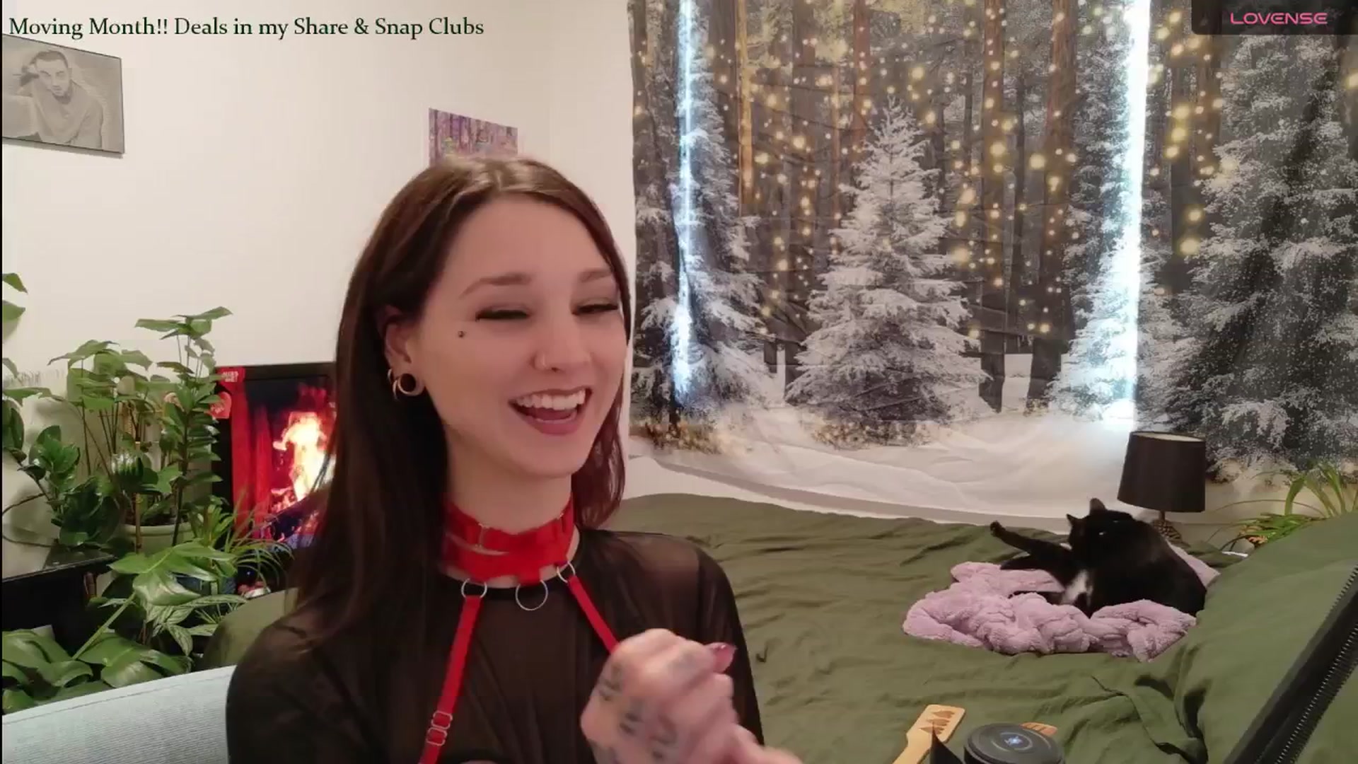 Gallery image thumbnail from ShyBabyy's myfreecams stream on, 01/13/2026, 22:11 image 13 of 20