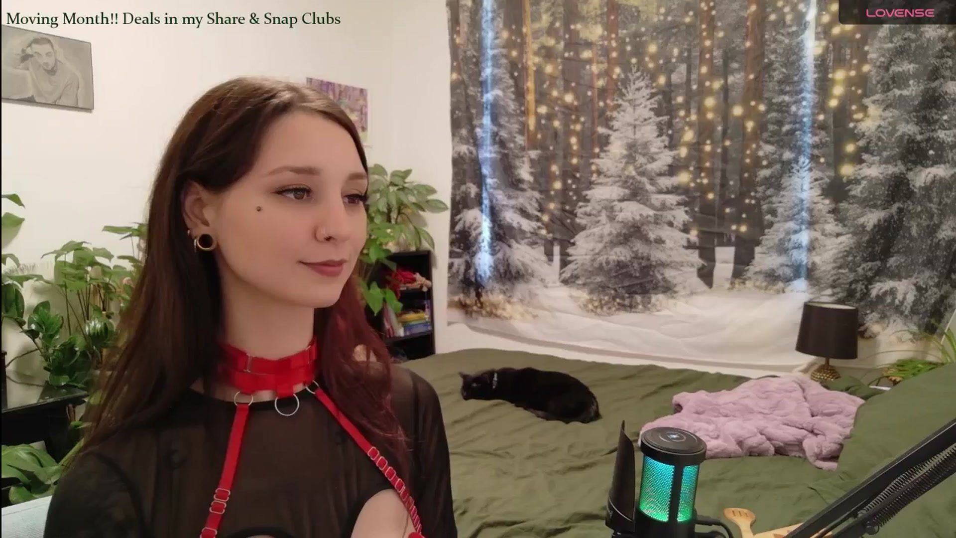 Gallery image thumbnail from ShyBabyy's myfreecams stream on, 01/14/2026, 24:05 image 3 of 20