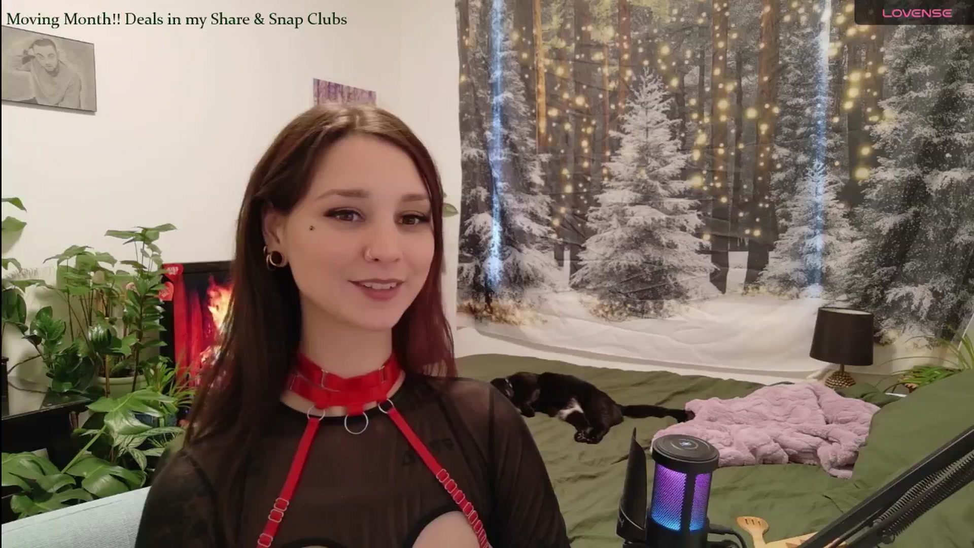Gallery image thumbnail from ShyBabyy's myfreecams stream on, 01/14/2026, 24:05 image 5 of 20