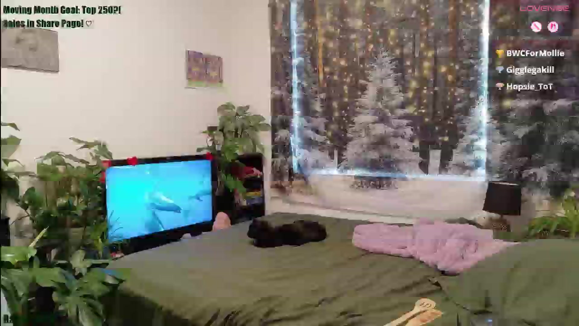 Gallery image thumbnail from ShyBabyy's myfreecams stream on, 01/21/2026, 22:22 image 6 of 20