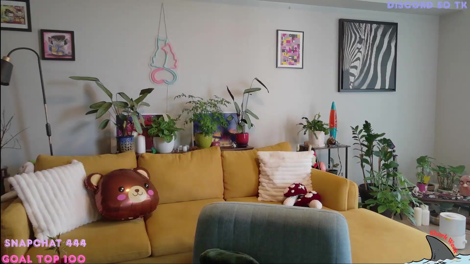 Gallery image thumbnail from ShyBabyy's myfreecams stream on, 06/12/2026, 23:12 image 19 of 20