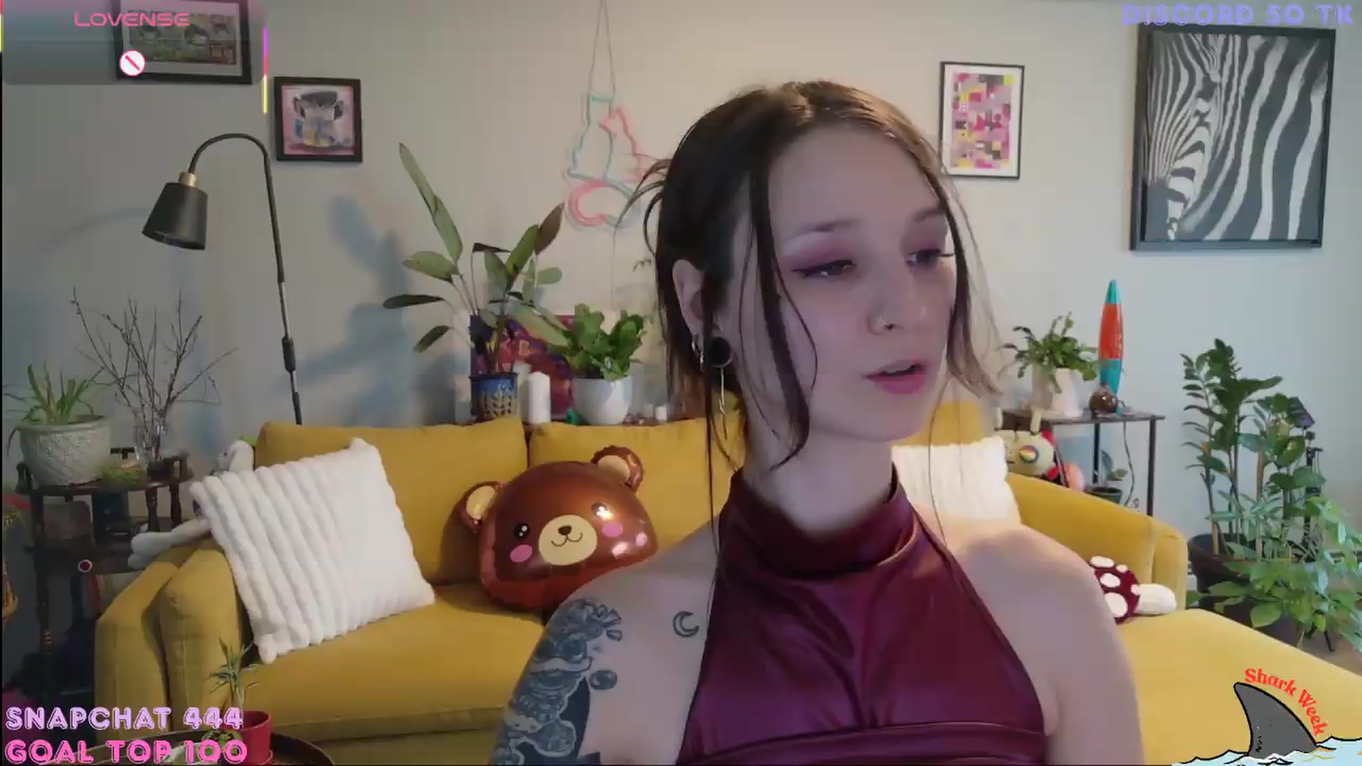 Gallery image thumbnail from ShyBabyy's myfreecams stream on, 06/16/2026, 24:36 image 4 of 20