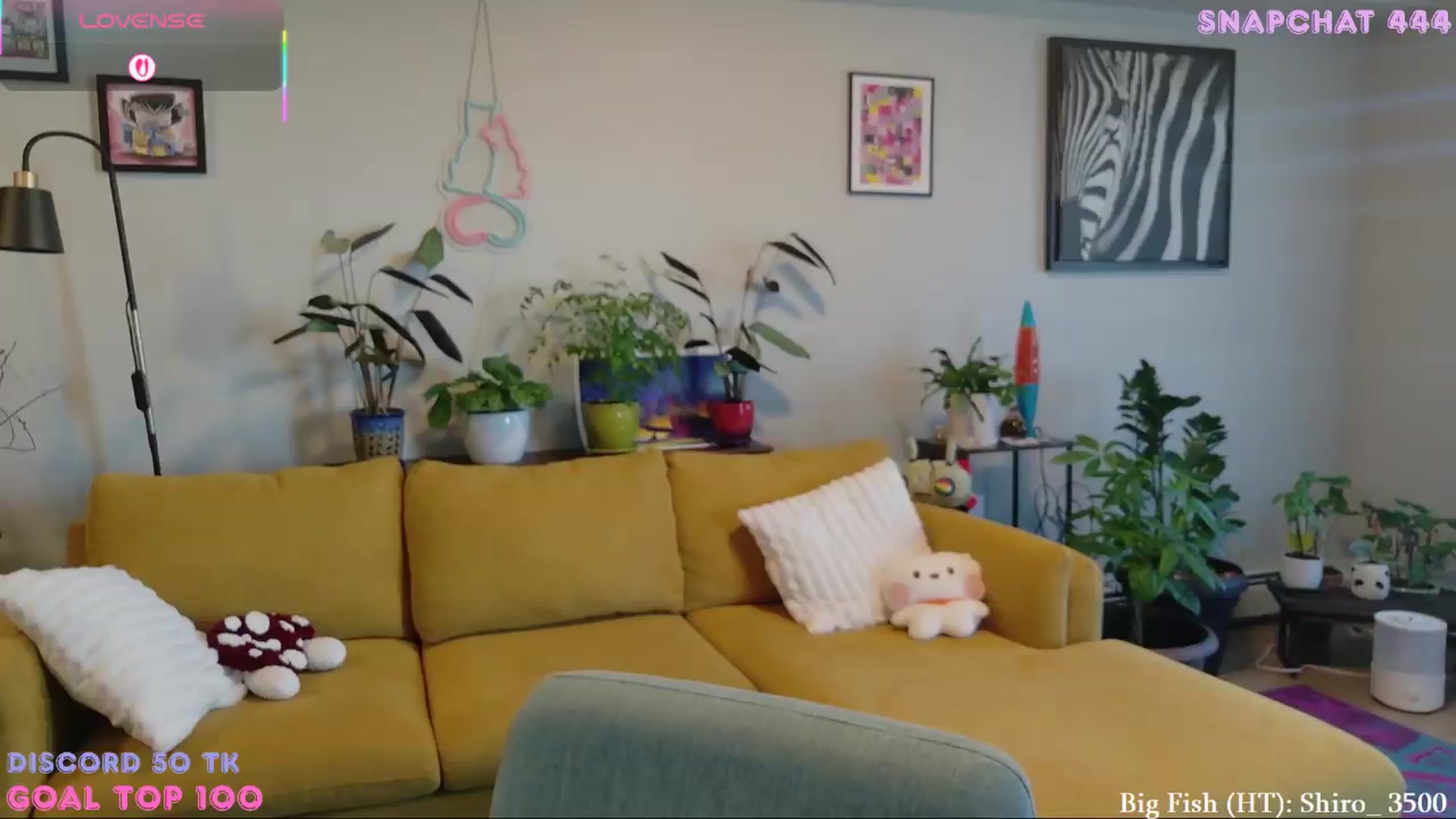 Gallery image thumbnail from ShyBabyy's myfreecams stream on, 07/06/2026, 20:11 image 4 of 20