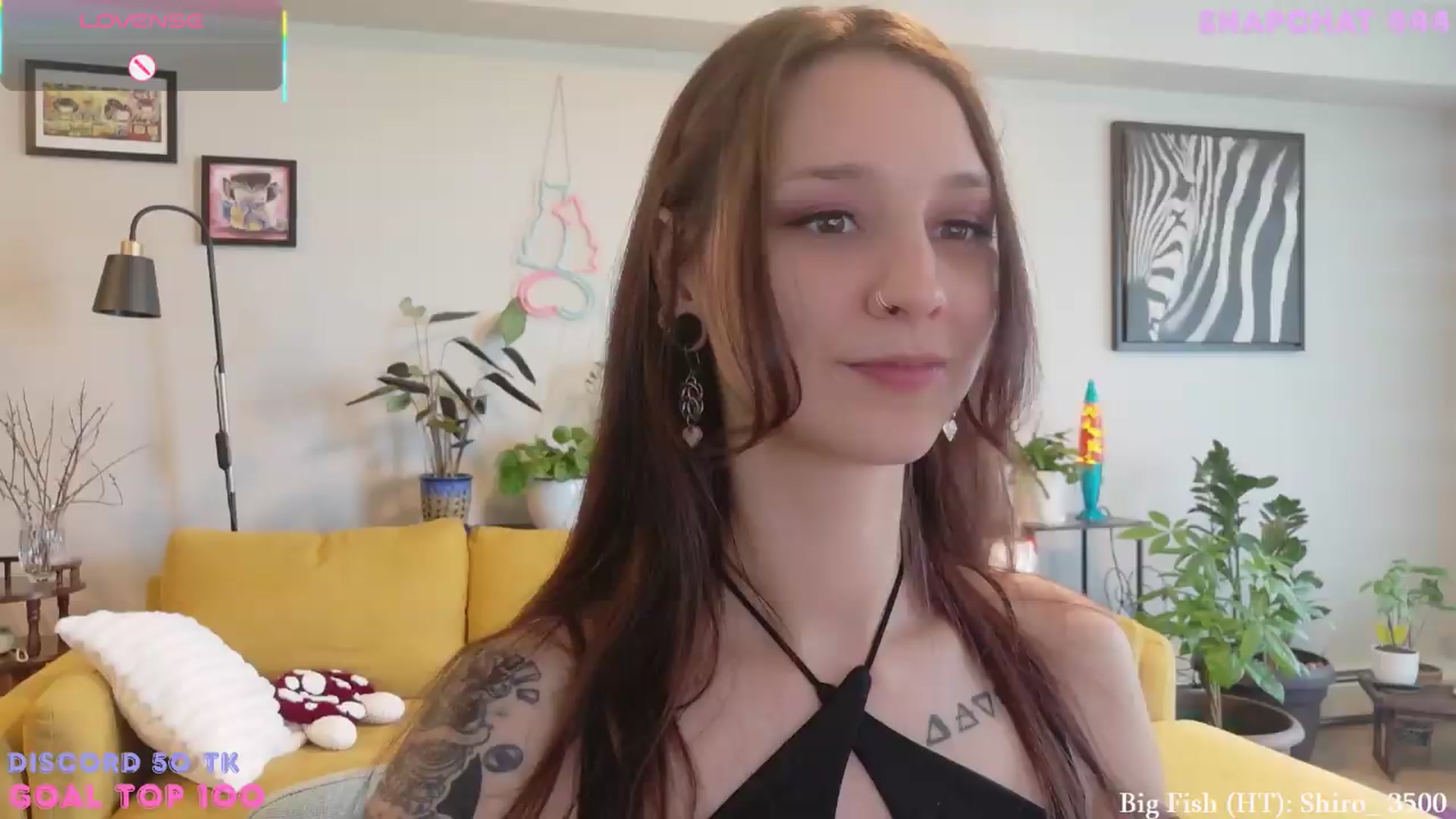 Gallery image thumbnail from ShyBabyy's myfreecams stream on, 07/07/2026, 22:16 image 13 of 20