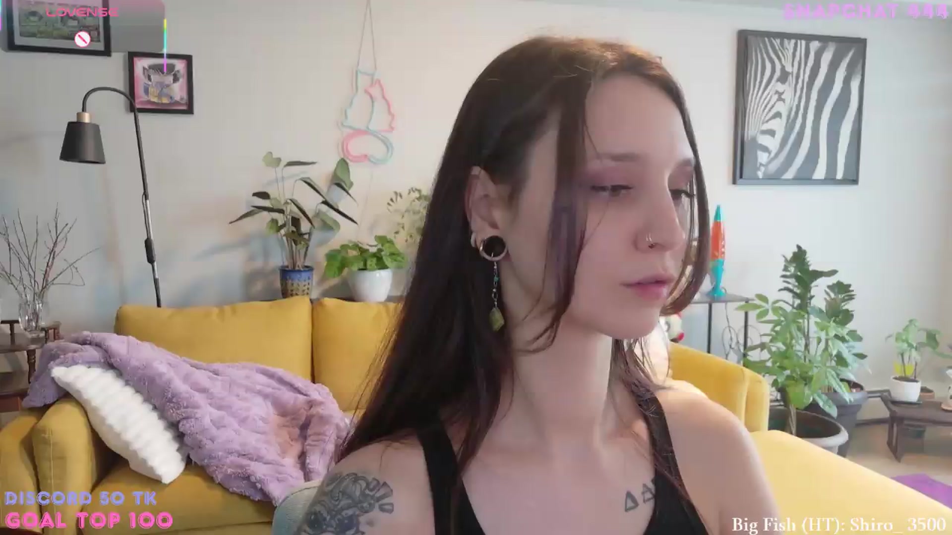 Gallery image thumbnail from ShyBabyy's myfreecams stream on, 07/08/2026, 19:06 image 12 of 20