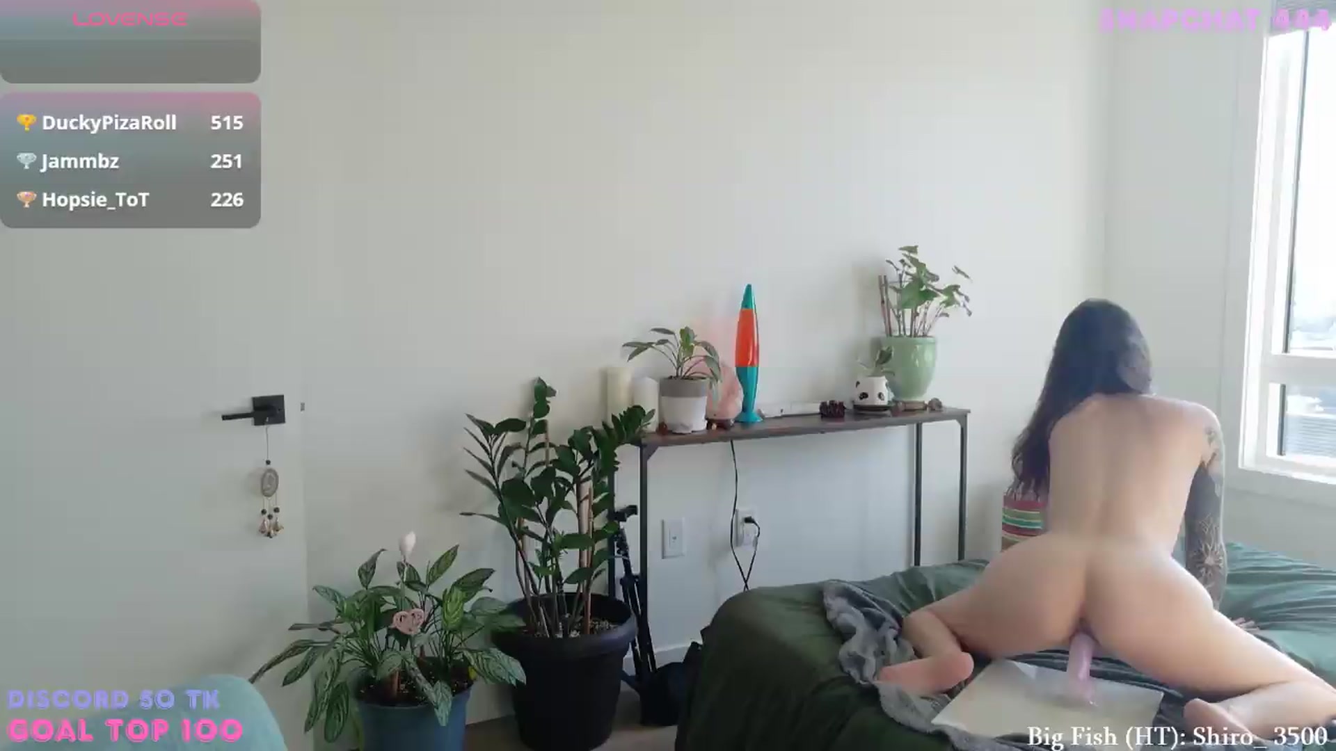 Gallery image thumbnail from ShyBabyy's myfreecams stream on, 07/14/2026, 01:23 image 8 of 20