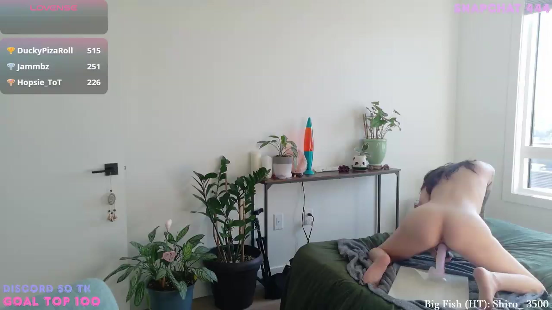 Gallery image thumbnail from ShyBabyy's myfreecams stream on, 07/14/2026, 01:23 image 7 of 20