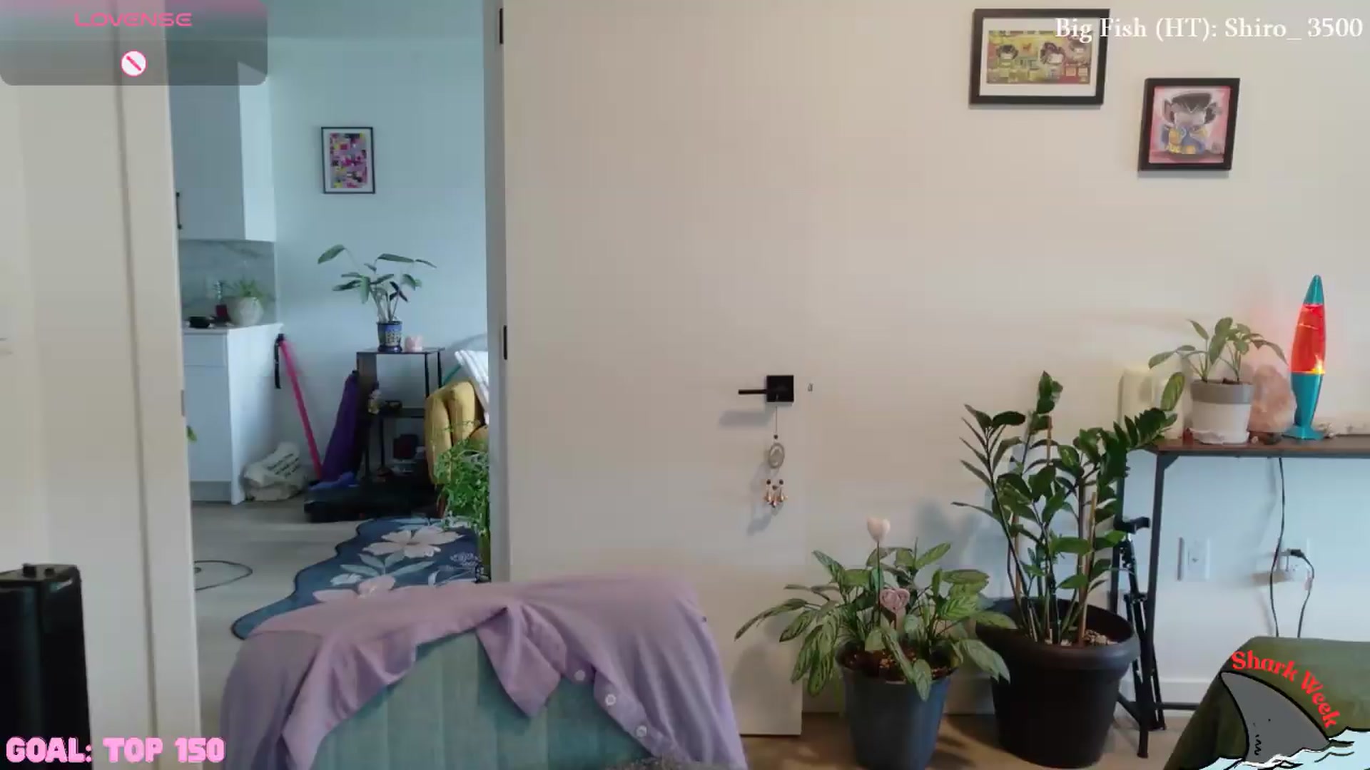 Gallery image thumbnail from ShyBabyy's myfreecams stream on, 07/17/2026, 17:18 image 11 of 20
