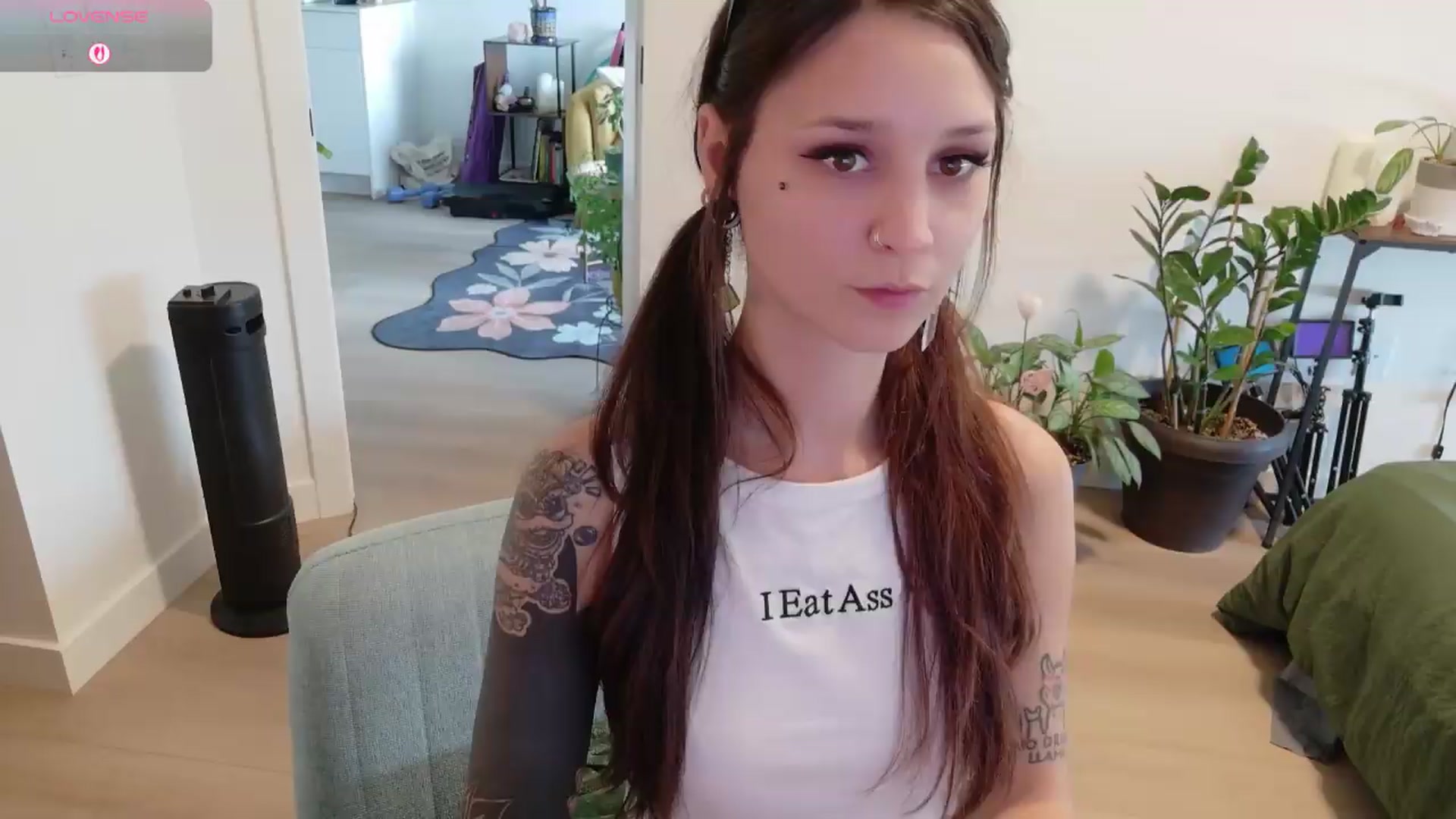 Gallery image thumbnail from ShyBabyy's myfreecams stream on, 08/01/2026, 24:03 image 1 of 20
