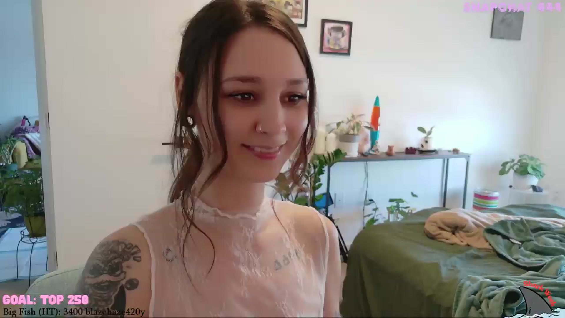 Gallery image thumbnail from ShyBabyy's myfreecams stream on, 08/17/2026, 20:59 image 13 of 20