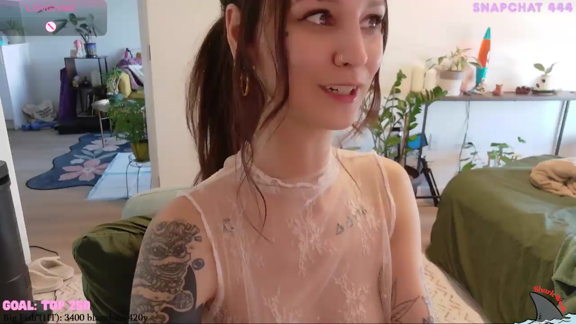Gallery image thumbnail from ShyBabyy's myfreecams stream on, 08/17/2026, 20:59 image 20 of 20