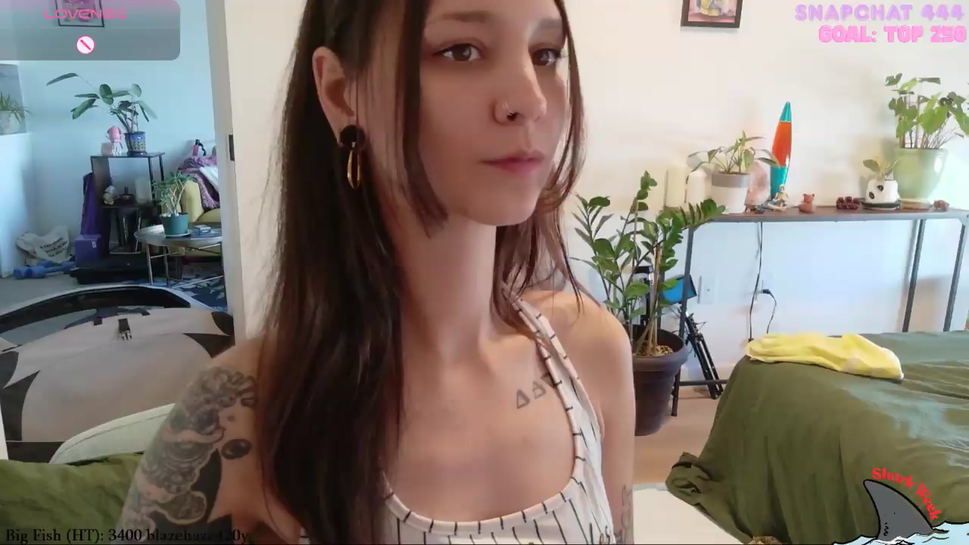 Gallery image thumbnail from ShyBabyy's myfreecams stream on, 08/19/2026, 20:23 image 11 of 20
