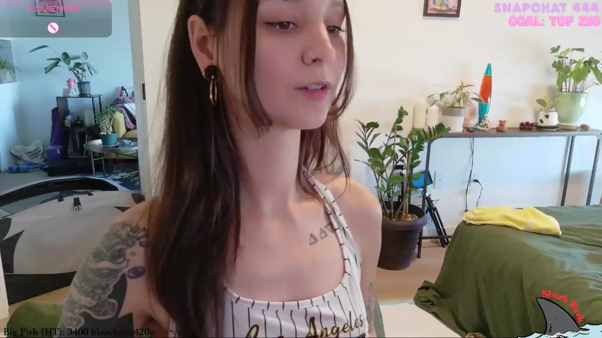 Gallery image thumbnail from ShyBabyy's myfreecams stream on, 08/19/2026, 20:23 image 12 of 20
