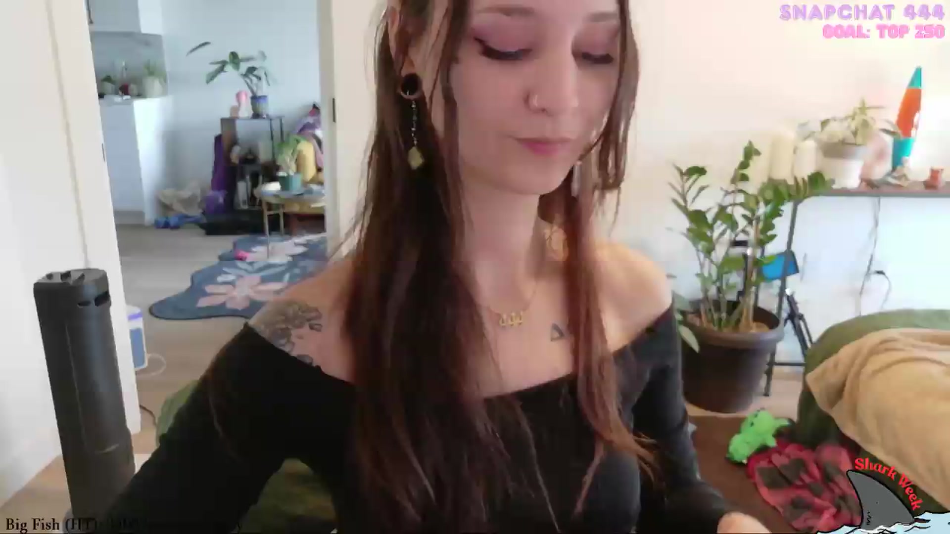 Gallery image thumbnail from ShyBabyy's myfreecams stream on, 08/20/2026, 21:54 image 1 of 20