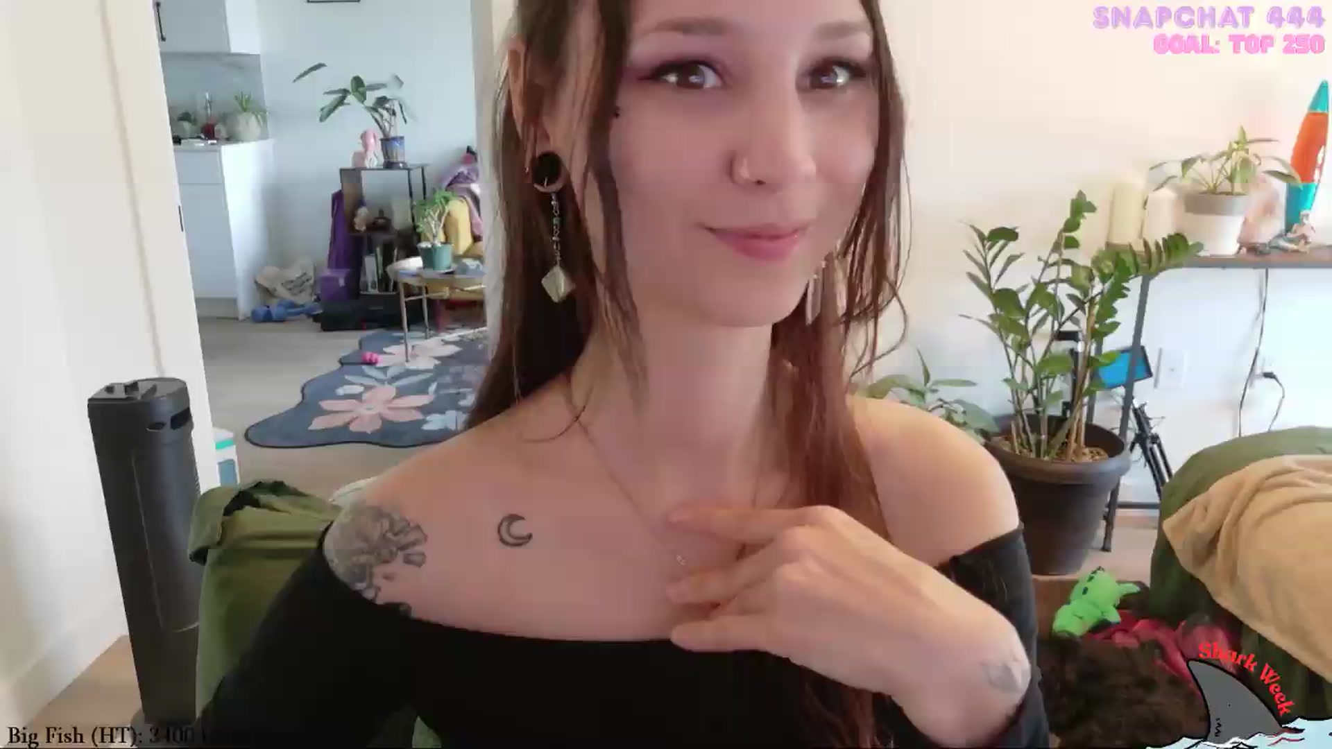 Gallery image thumbnail from ShyBabyy's myfreecams stream on, 08/20/2026, 21:54 image 5 of 20