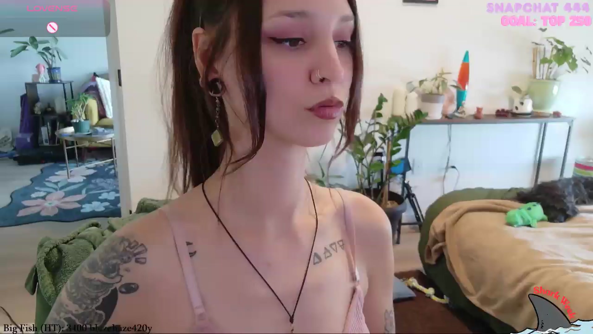 Gallery image thumbnail from ShyBabyy's myfreecams stream on, 08/21/2026, 21:31 image 7 of 20