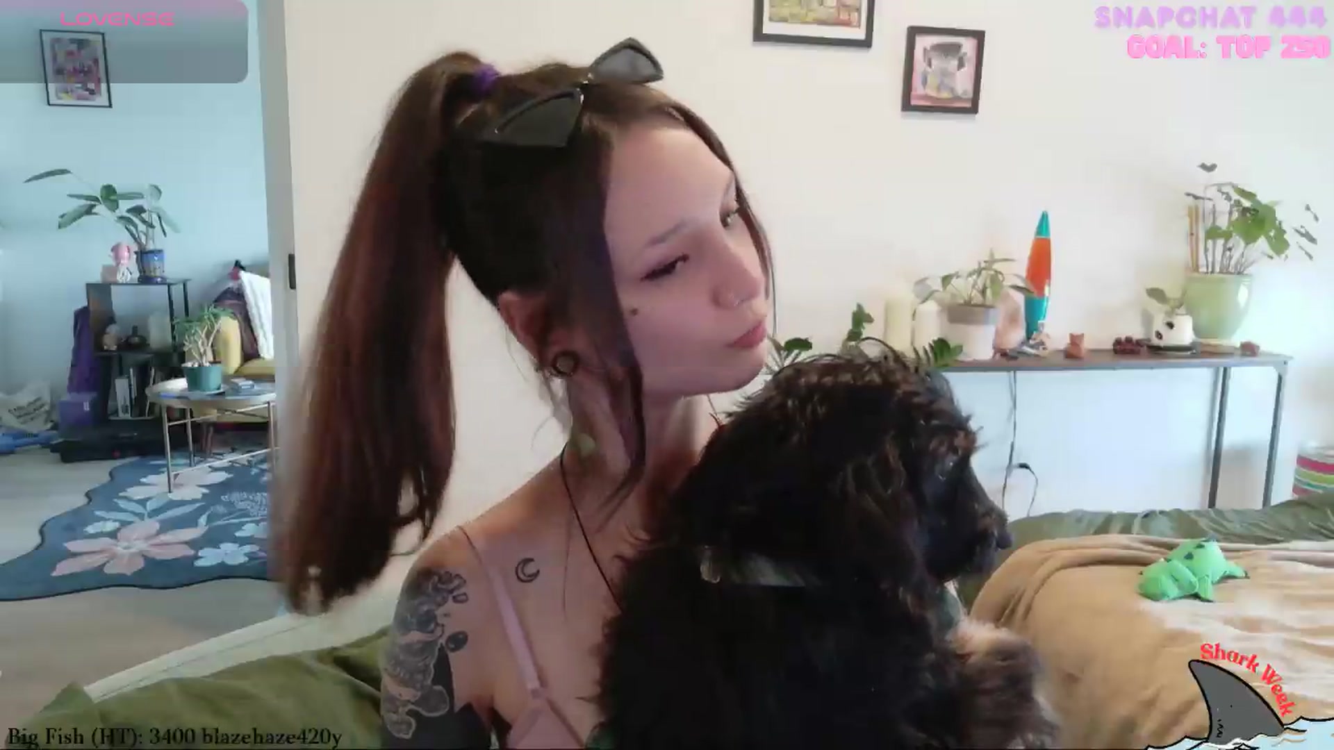 Gallery image thumbnail from ShyBabyy's myfreecams stream on, 08/21/2026, 21:31 image 20 of 20