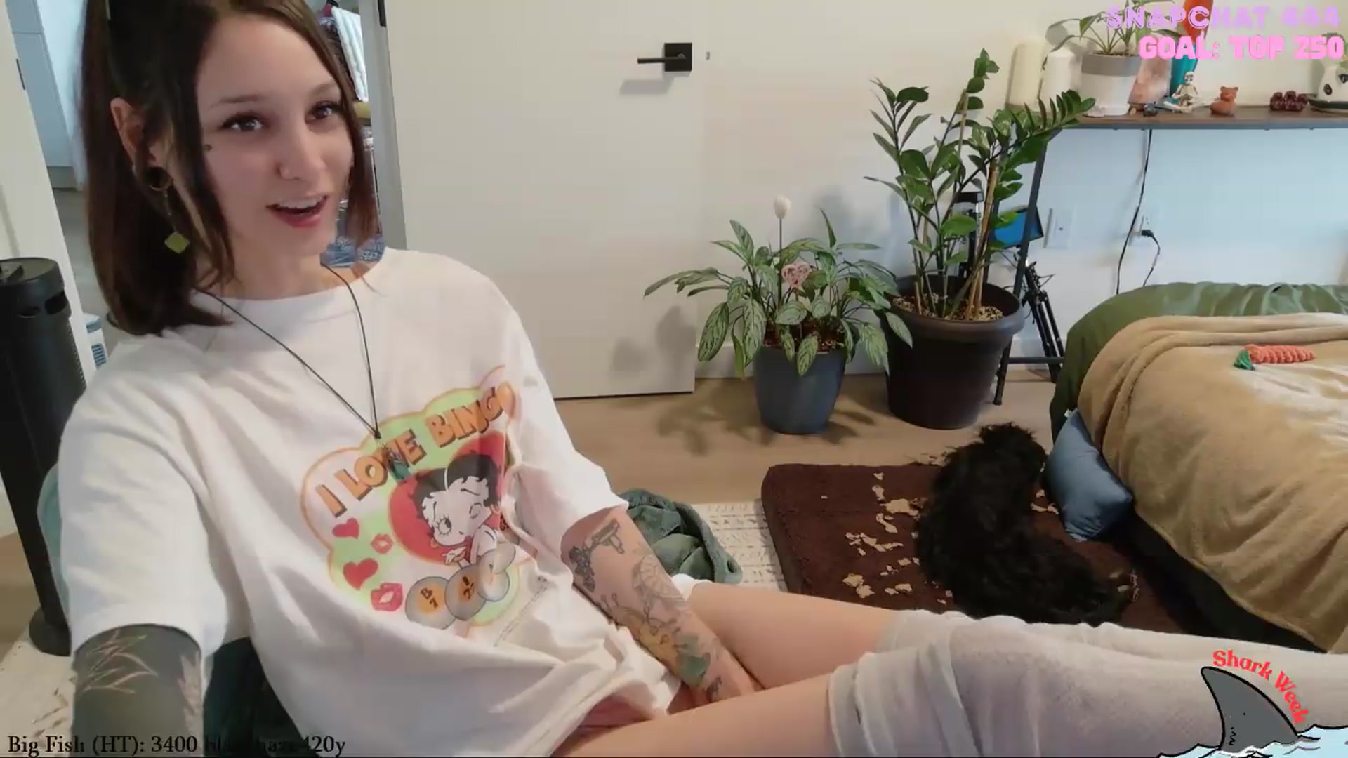 Gallery image thumbnail from ShyBabyy's myfreecams stream on, 08/22/2026, 24:55 image 19 of 20