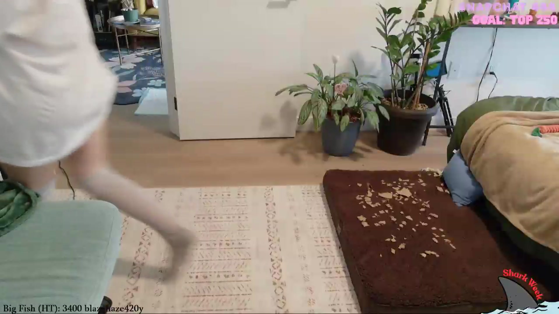 Gallery image thumbnail from ShyBabyy's myfreecams stream on, 08/22/2026, 24:55 image 20 of 20
