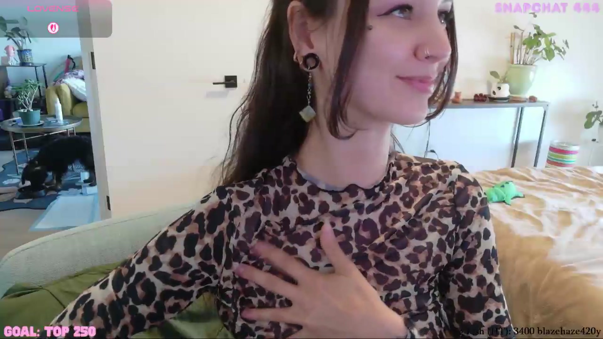 Gallery image thumbnail from ShyBabyy's myfreecams stream on, 08/24/2026, 21:17 image 19 of 20