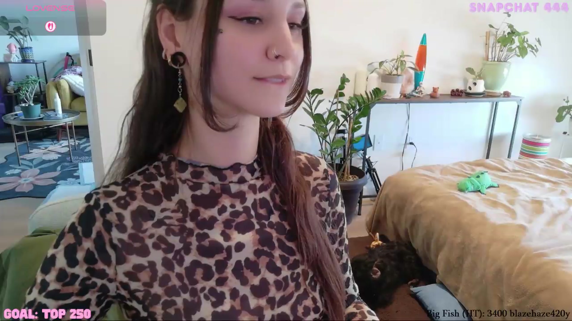 Gallery image thumbnail from ShyBabyy's myfreecams stream on, 08/24/2026, 21:17 image 18 of 20