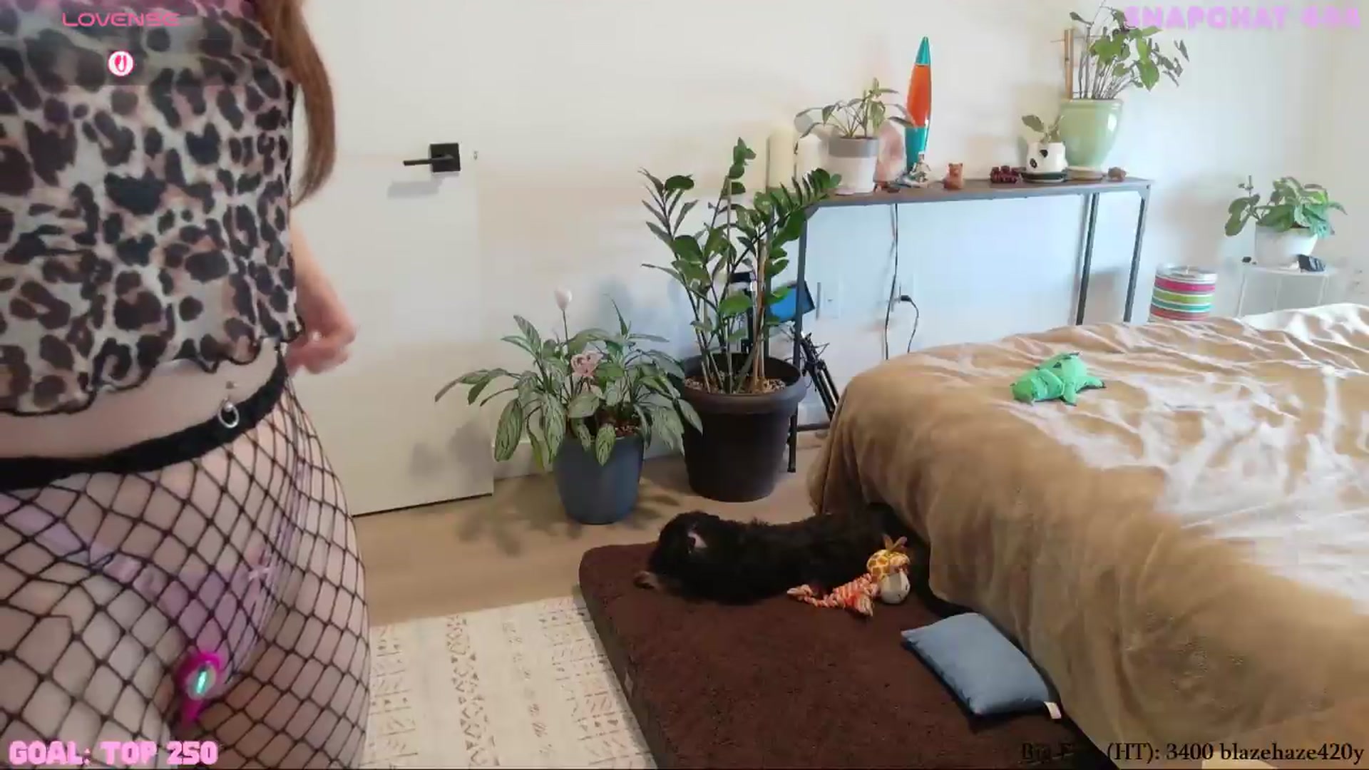 Gallery image thumbnail from ShyBabyy's myfreecams stream on, 08/24/2026, 21:17 image 12 of 20