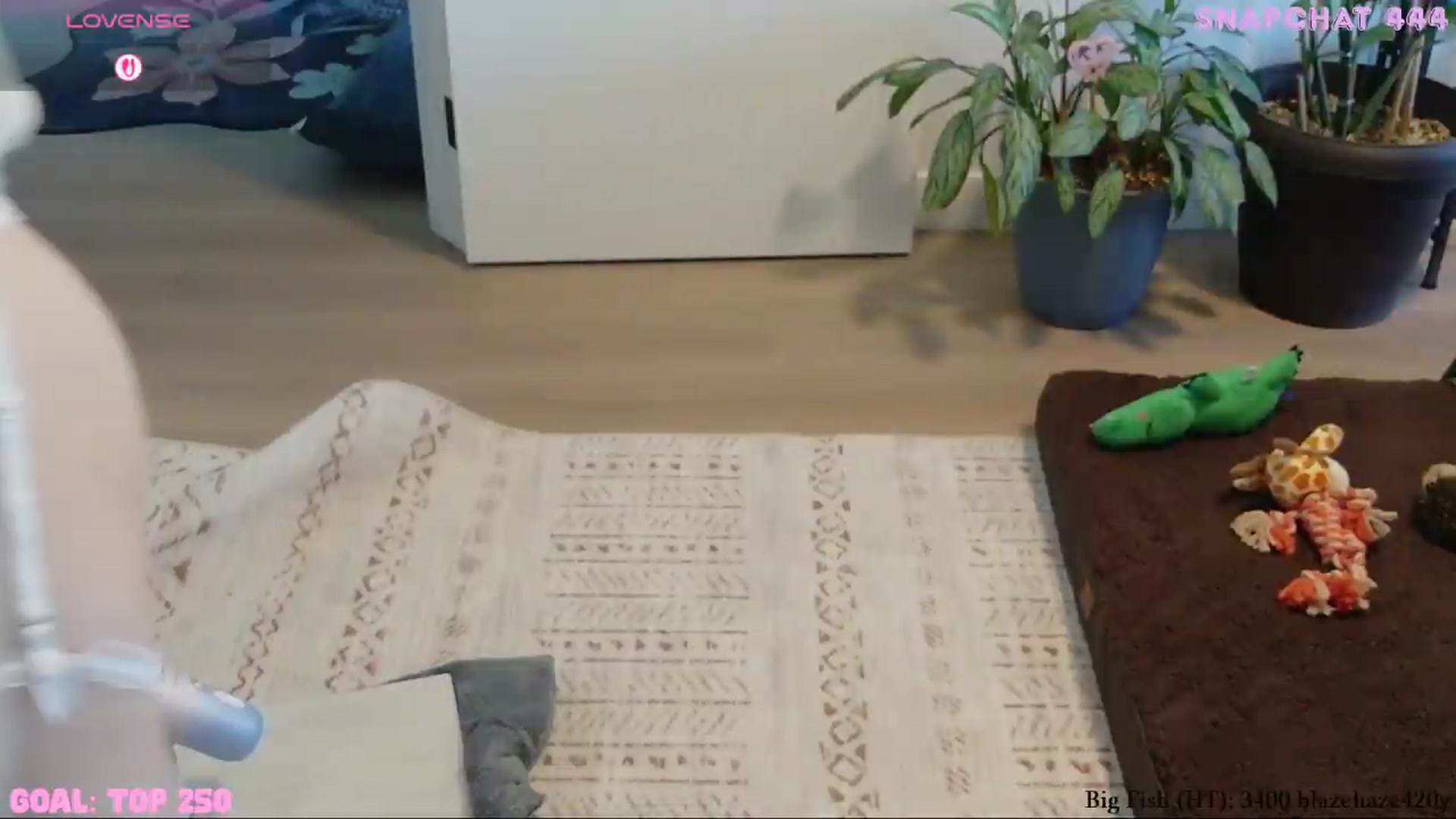 Gallery image thumbnail from ShyBabyy's myfreecams stream on, 08/25/2026, 22:22 image 6 of 20