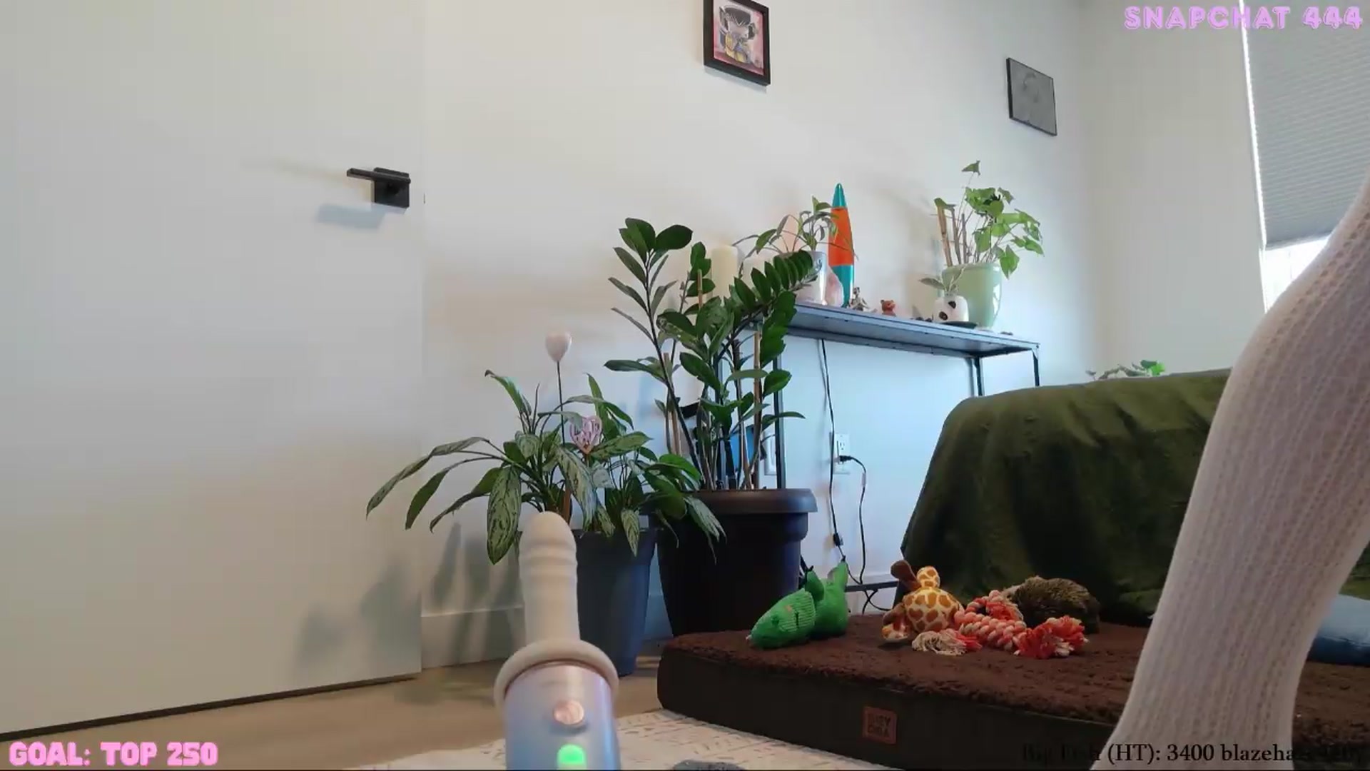 Gallery image thumbnail from ShyBabyy's myfreecams stream on, 08/25/2026, 22:22 image 8 of 20