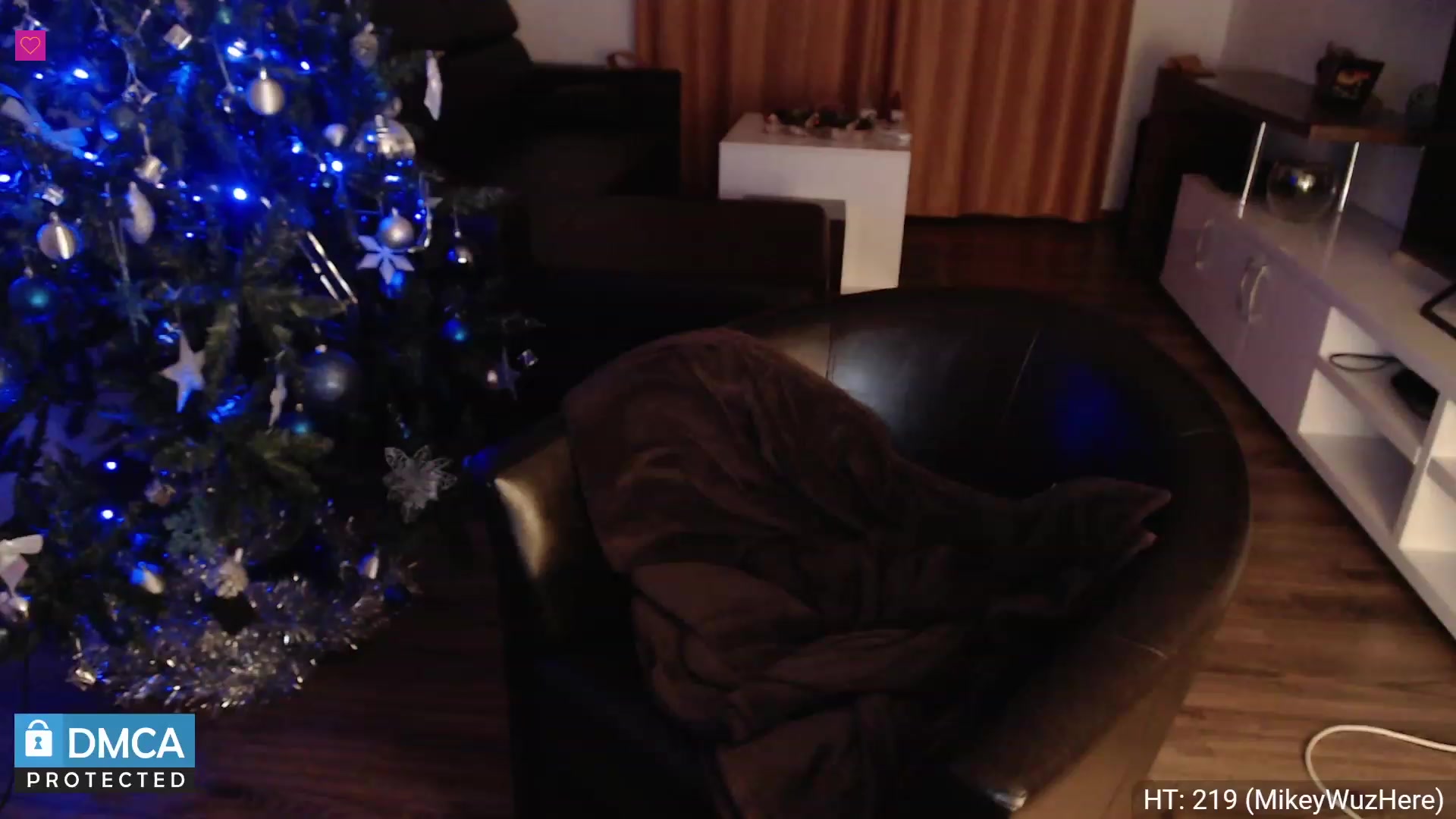 Gallery image thumbnail from ShyOrchid's myfreecams stream on, 12/12/2022, 07:57 image 18 of 20