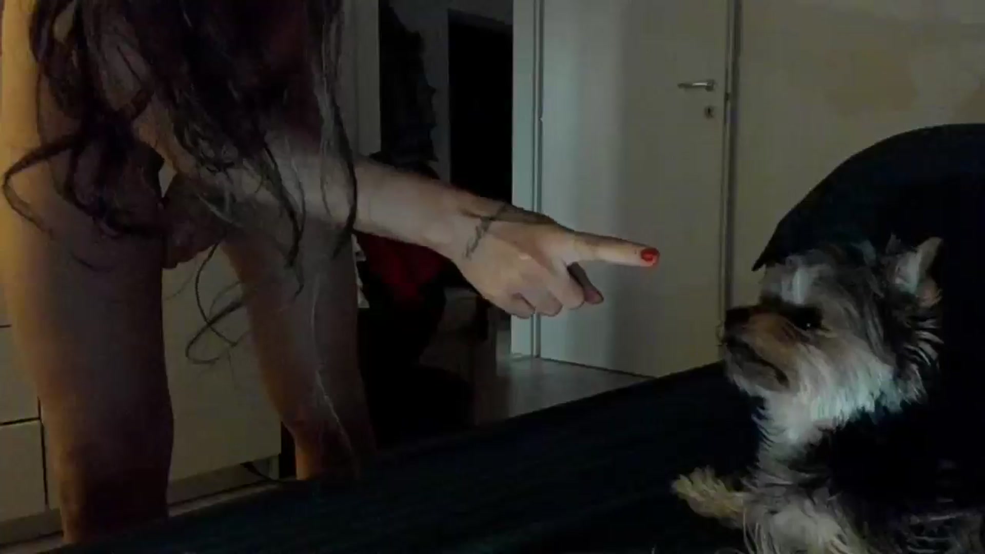 Gallery image thumbnail from Shy_Arwyn's myfreecams stream on, 02/18/2025, 02:29 image 7 of 20