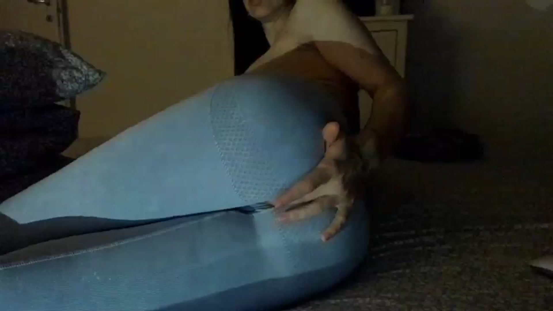 Gallery image thumbnail from Shy_Arwyn's myfreecams stream on, 03/16/2025, 04:39 image 6 of 20