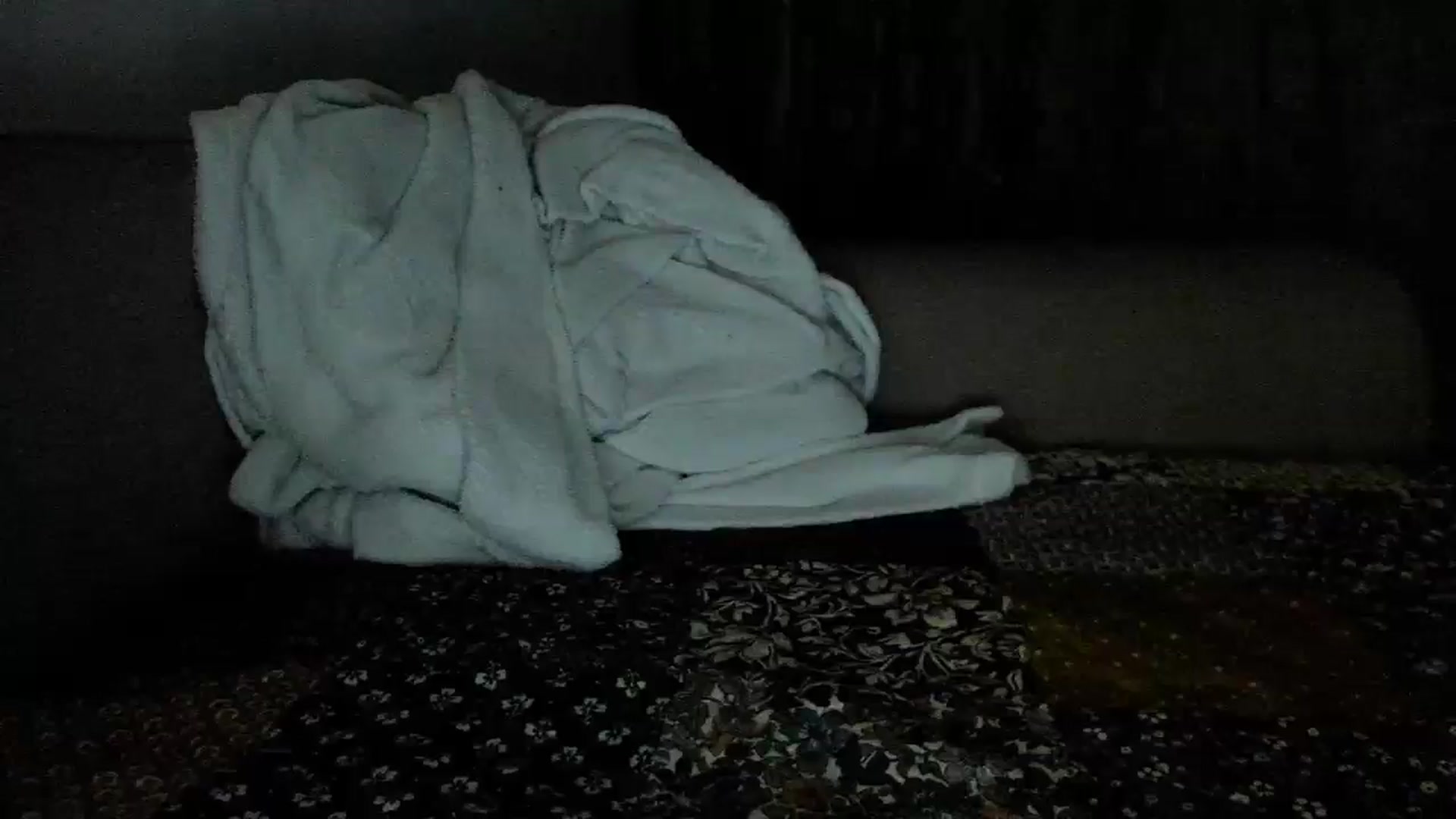 Gallery image thumbnail from Shy_Arwyn's myfreecams stream on, 06/05/2025, 01:45 image 2 of 20