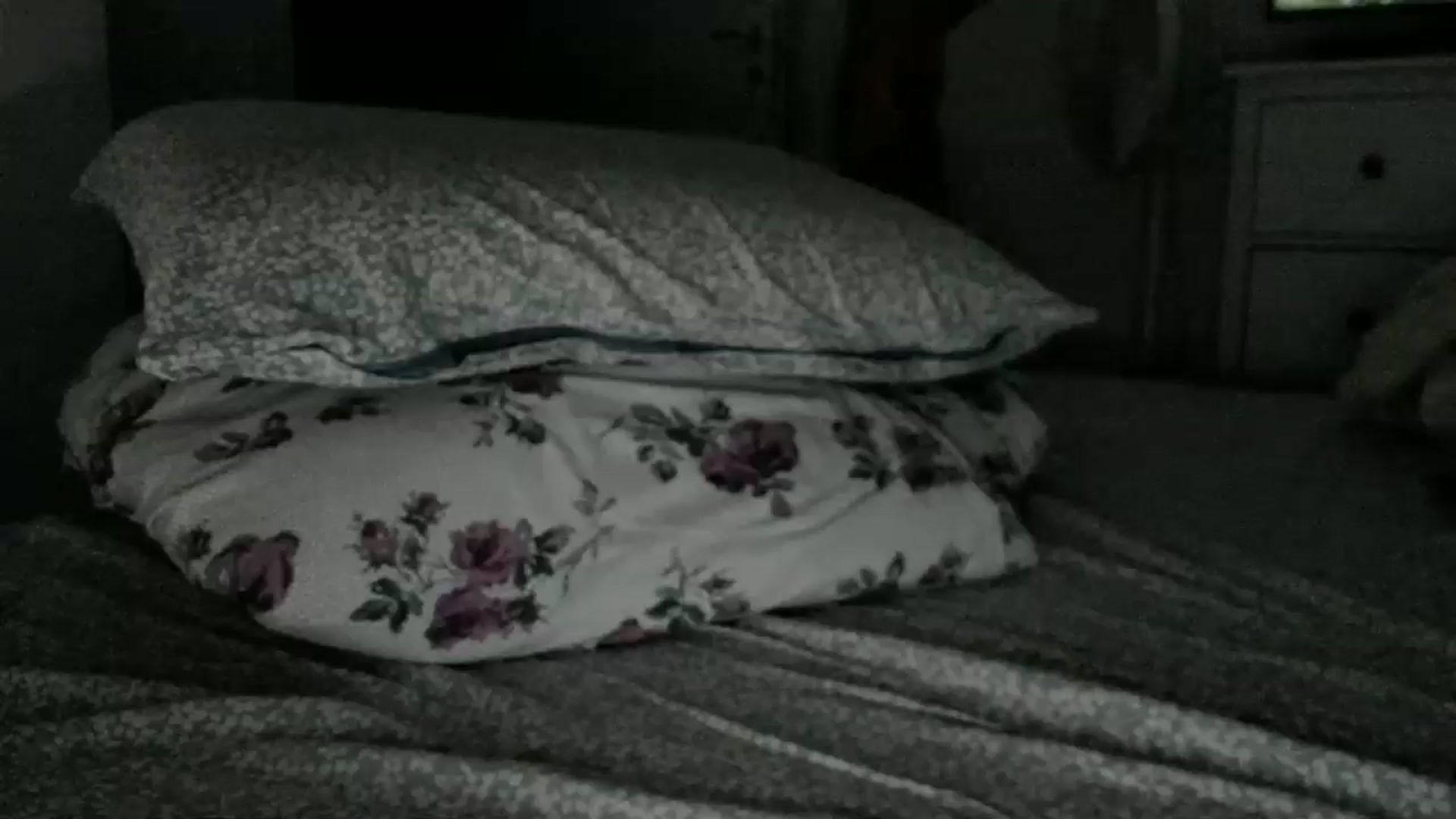 Gallery image thumbnail from Shy_Arwyn's myfreecams stream on, 09/10/2025, 03:35 image 16 of 20